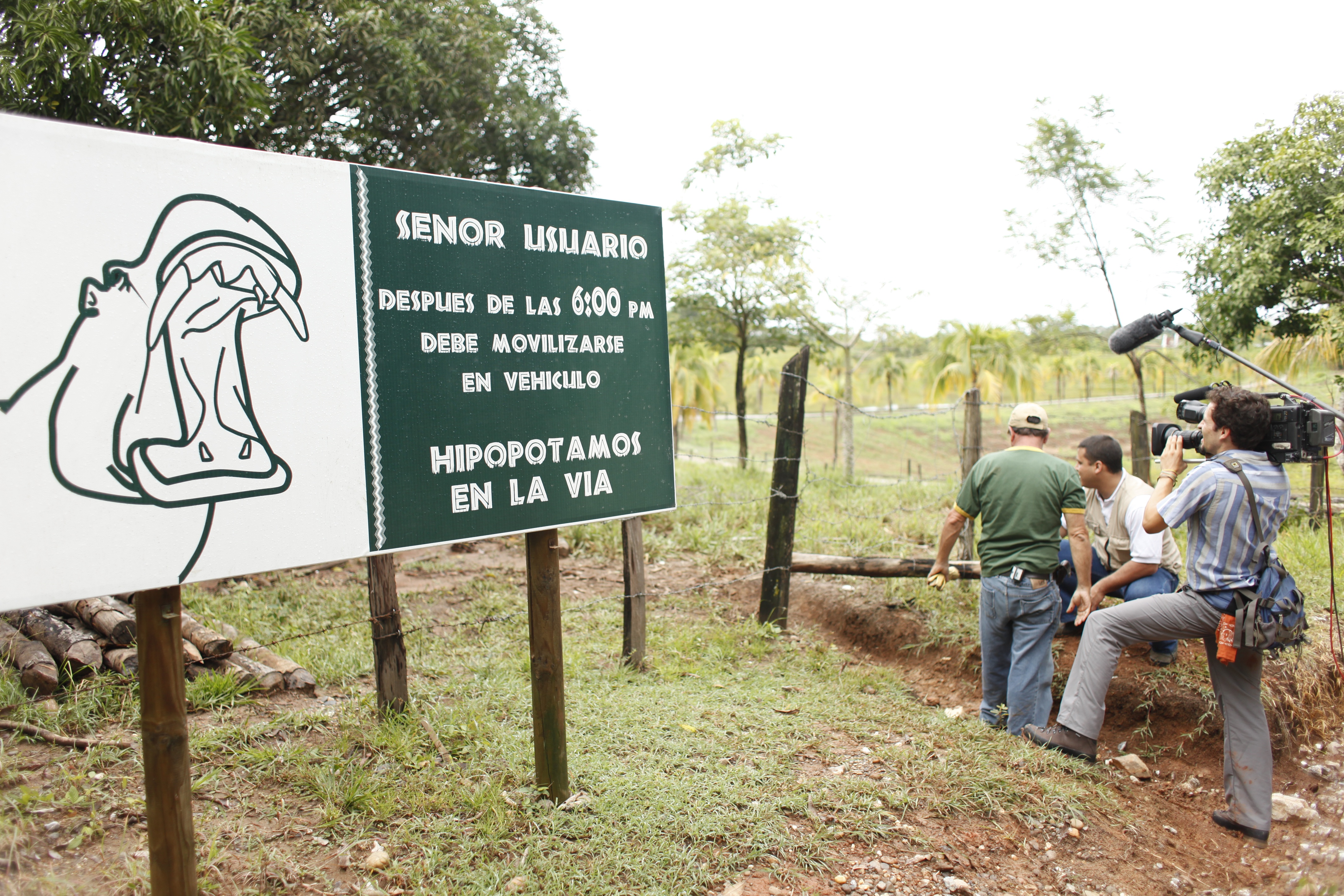 Les hippopotames d’Escobar (2).png