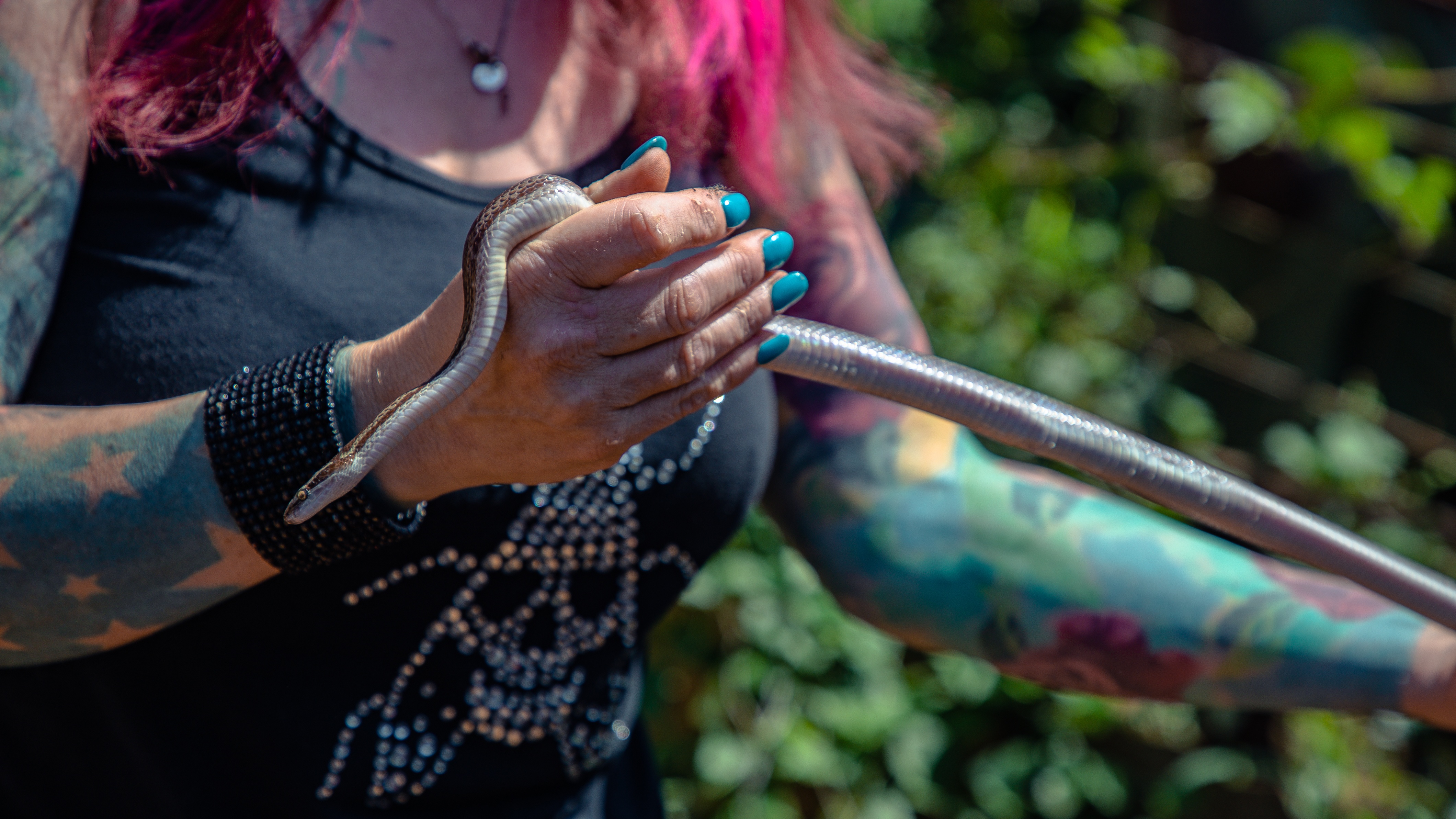 Snake City (1).jpg