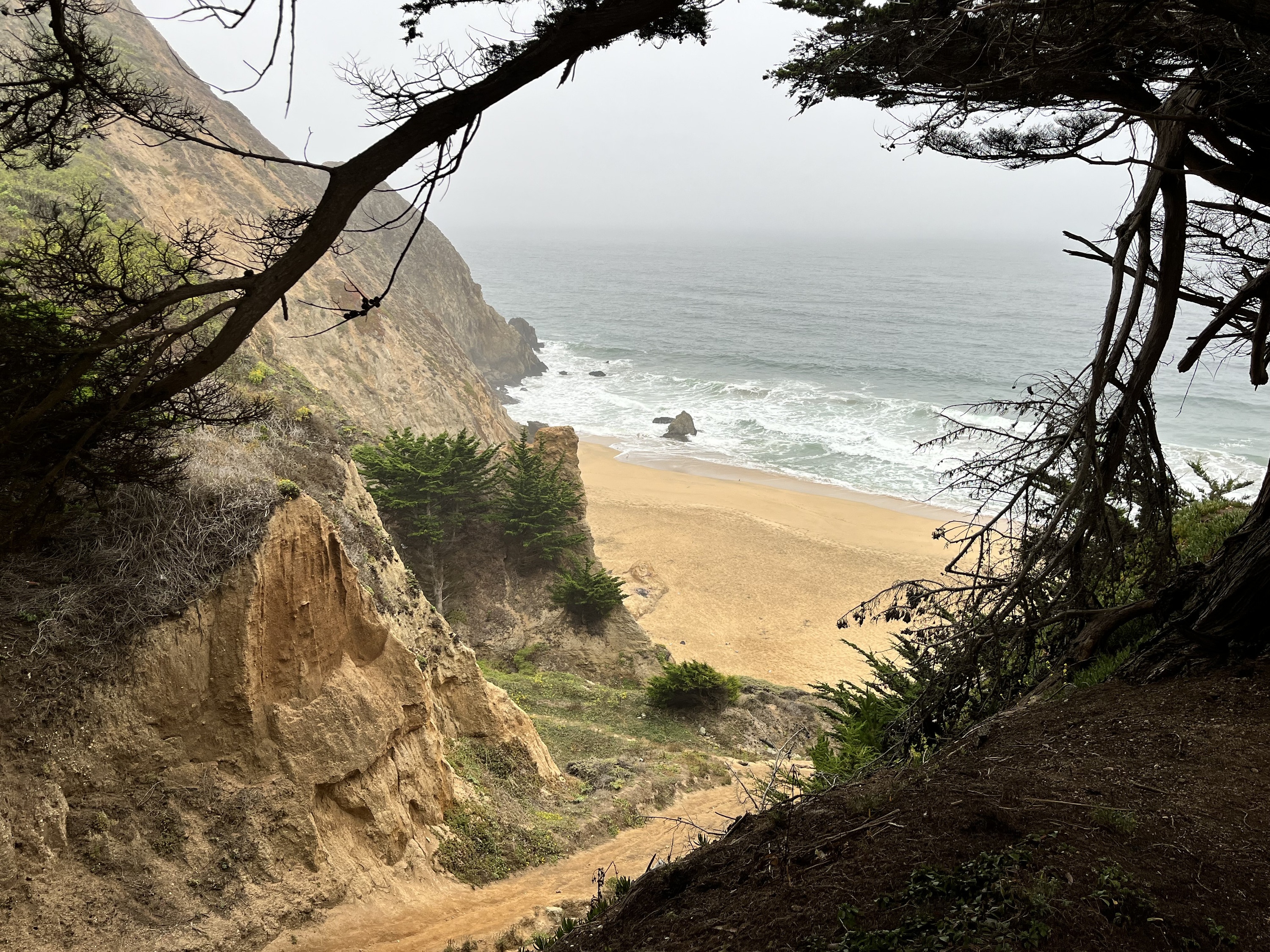 When Sharks Attack... And Why (2).jpg