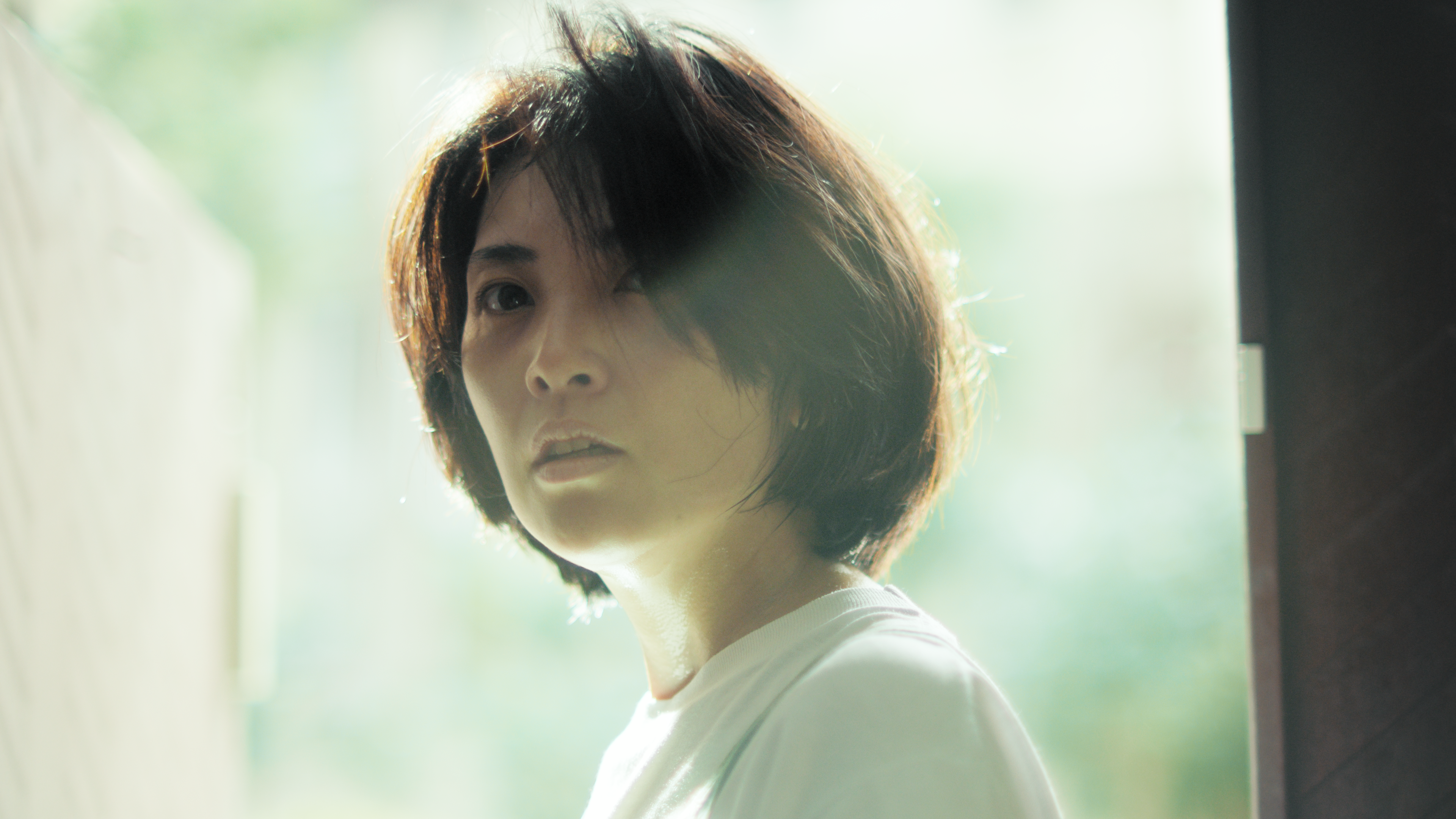 Dragons of Wonderhatch (6).tif