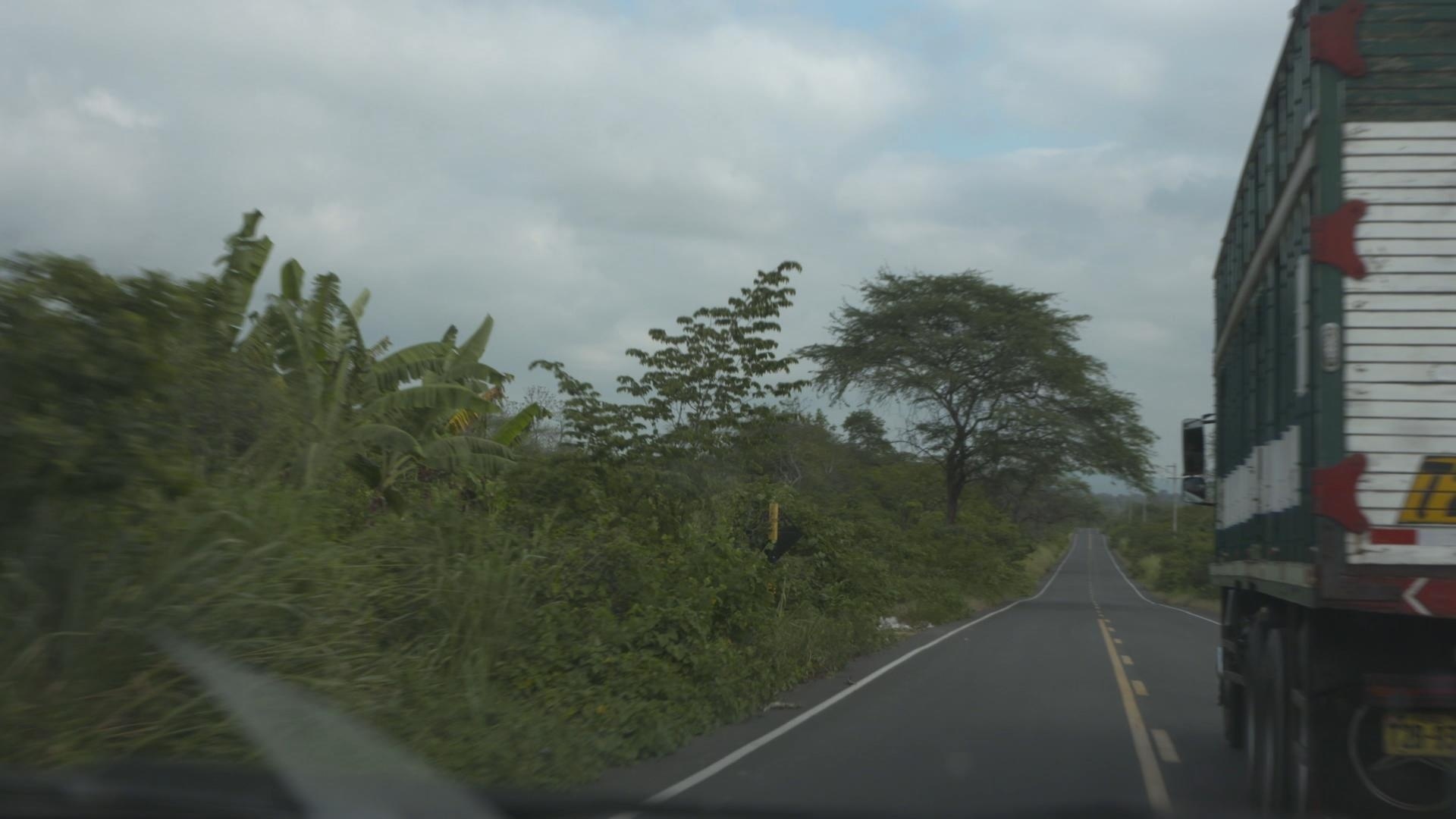 Opération Madère (3).jpg