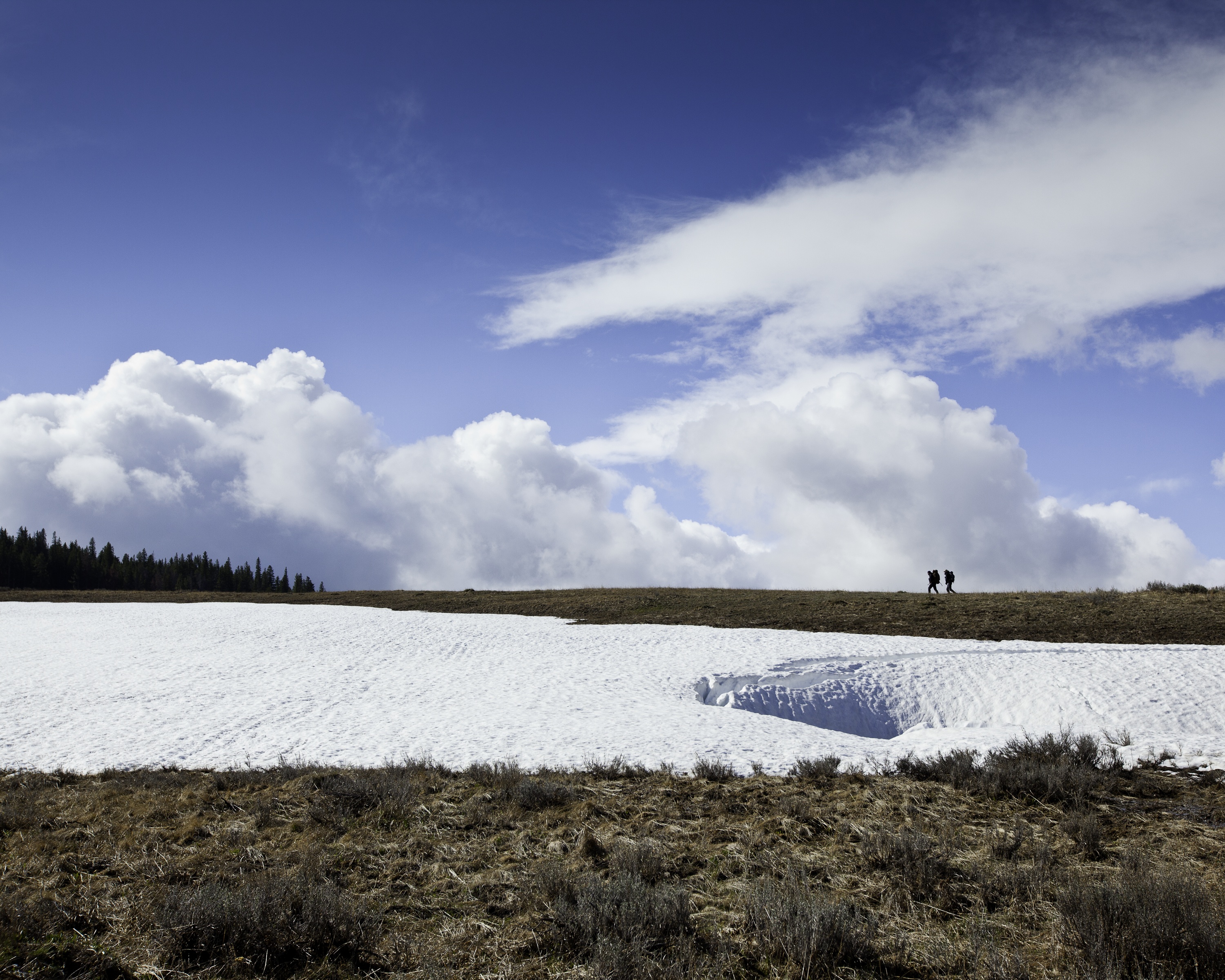 Mon ami Casey  Les charognards du Yellowstone (1).JPG