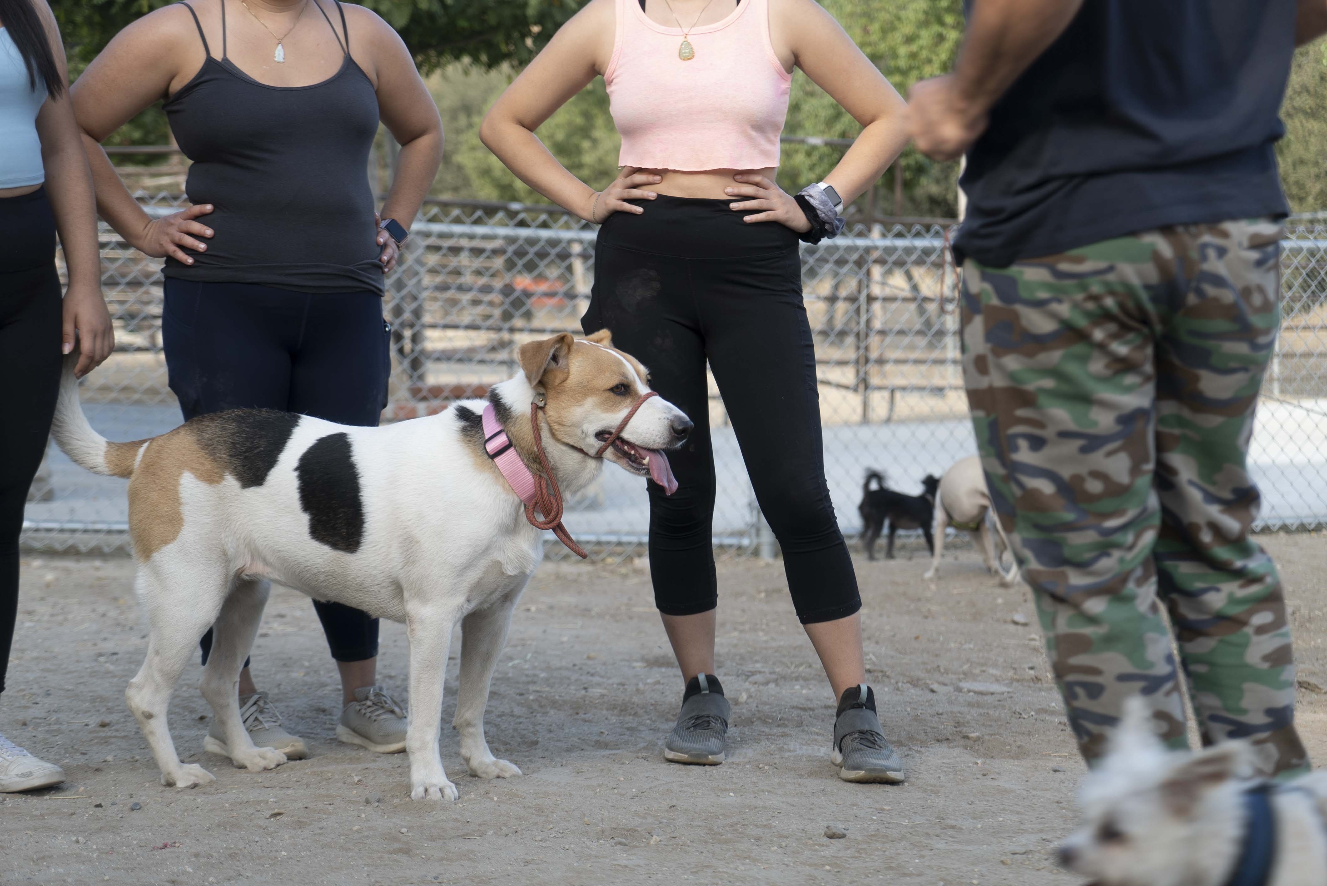 Un Espoir en zone rouge (1).jpg