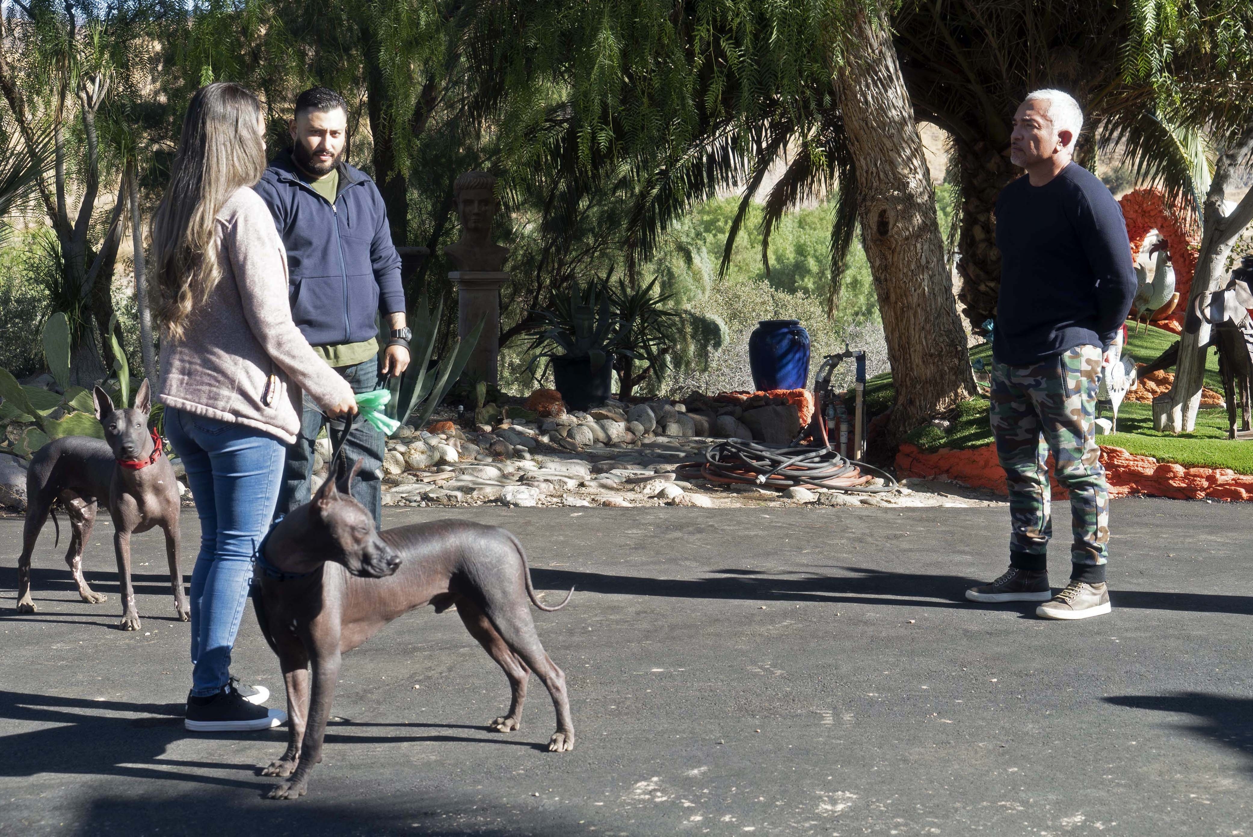 Cesar Millan Better Human Better Dog (1).jpg