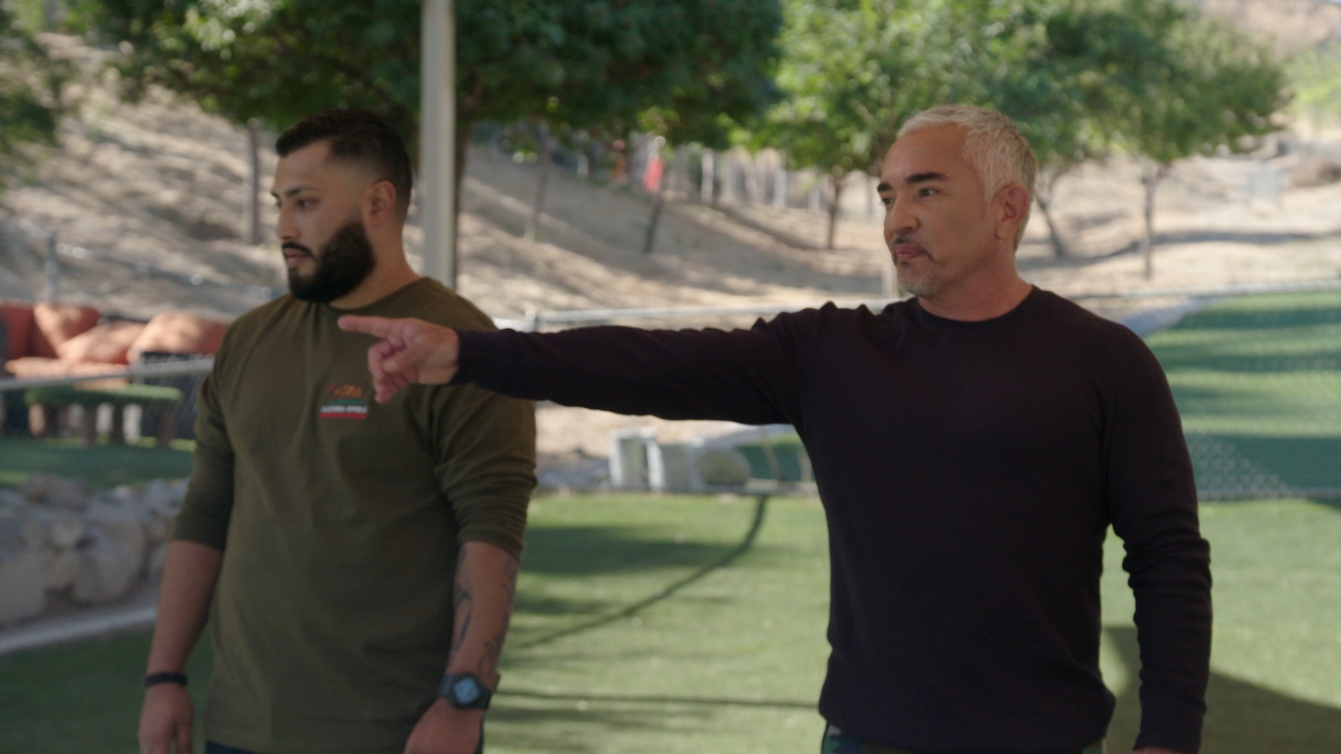 Cesar Millan Better Human Better Dog (1).jpg