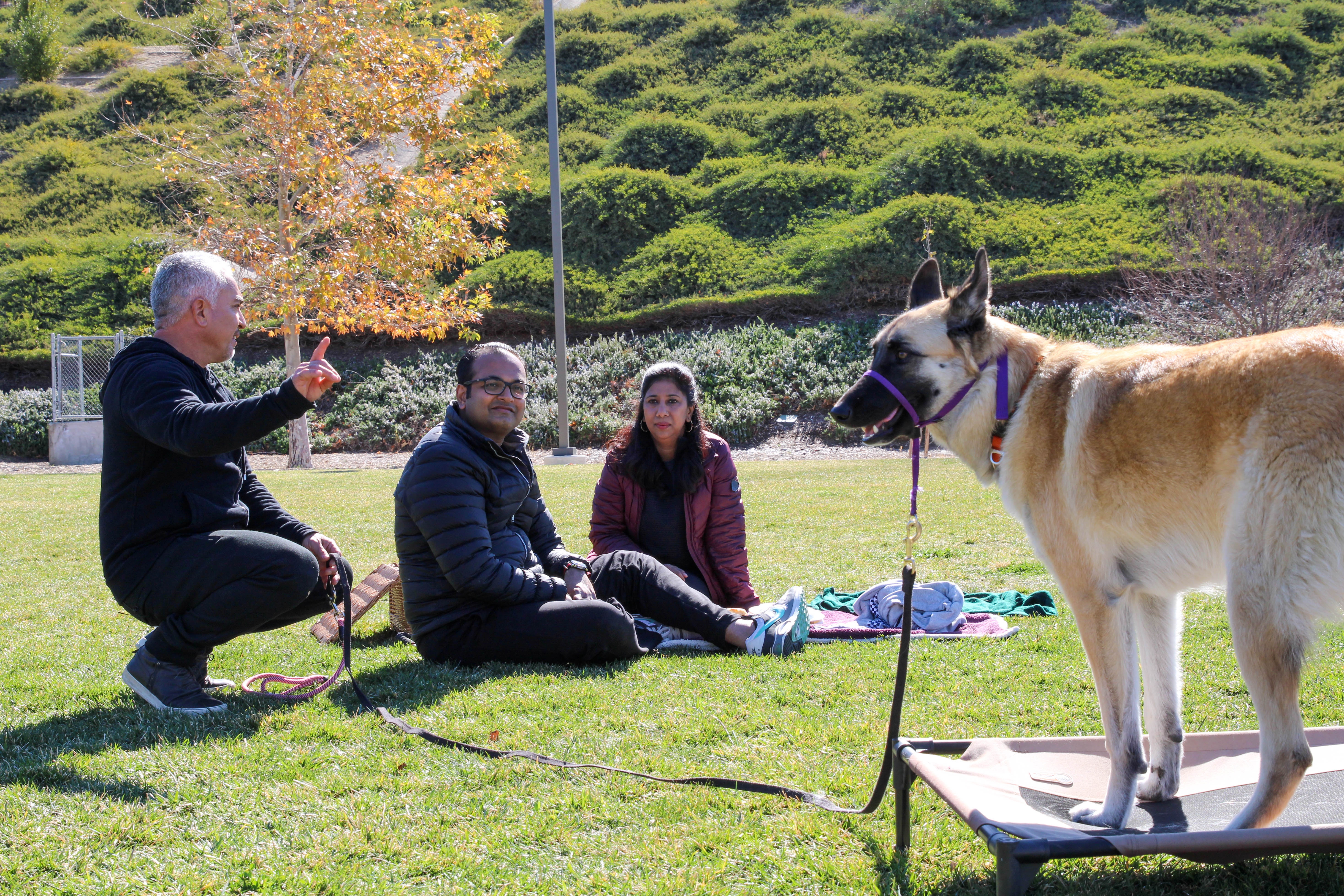 Cesar Millan Better Human Better Dog (2).jpg