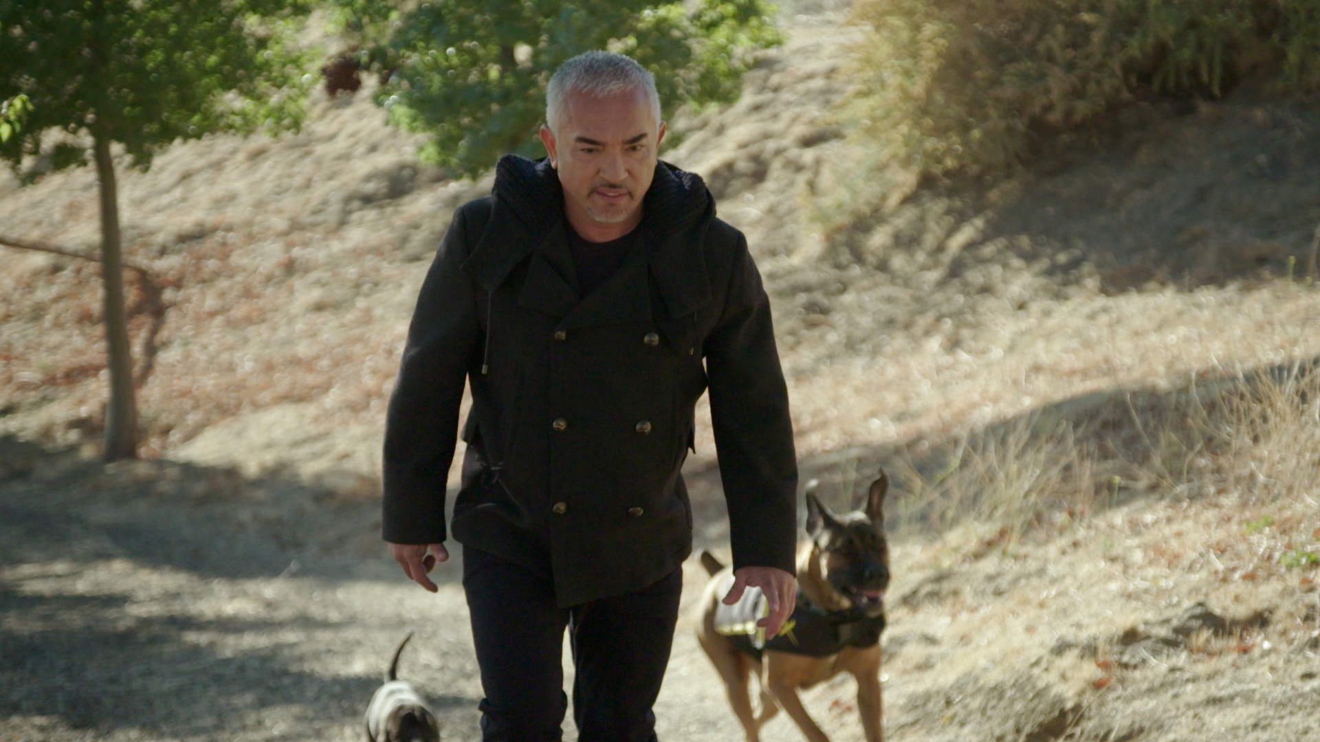 Cesar Millan Better Human Better Dog (3).jpg