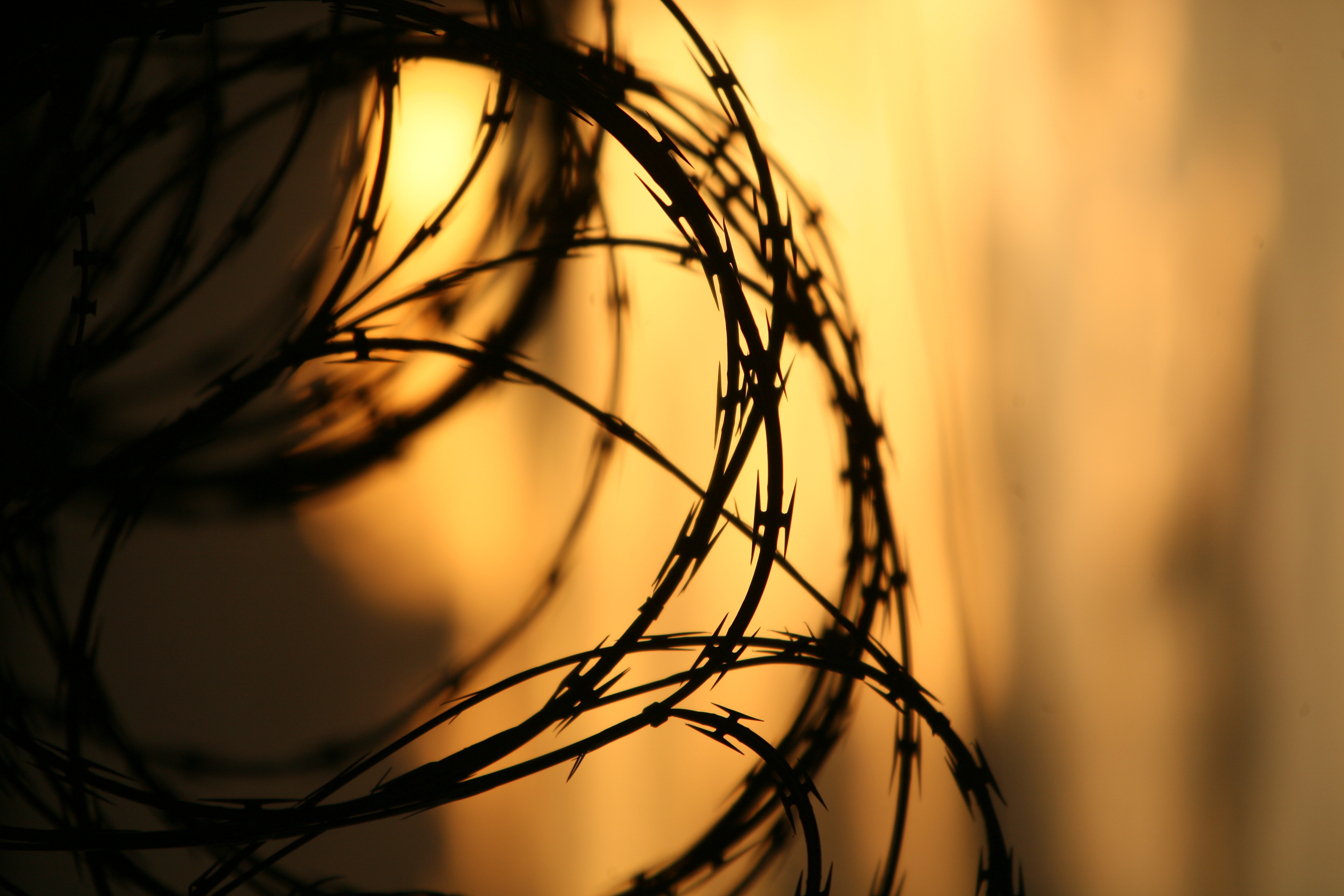 Inside  Guantanamo (1).JPG