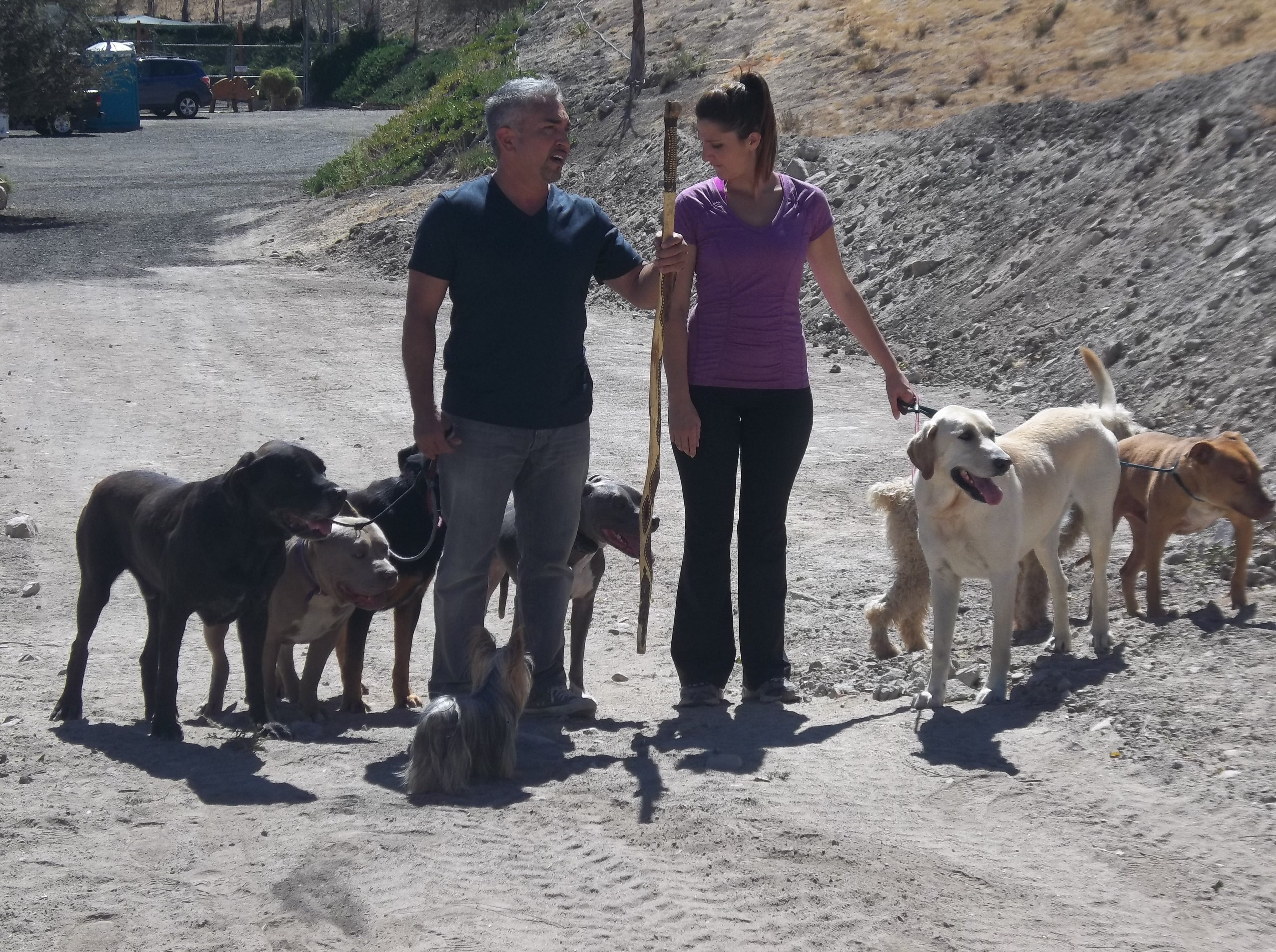 Cesar 911 (1).JPG