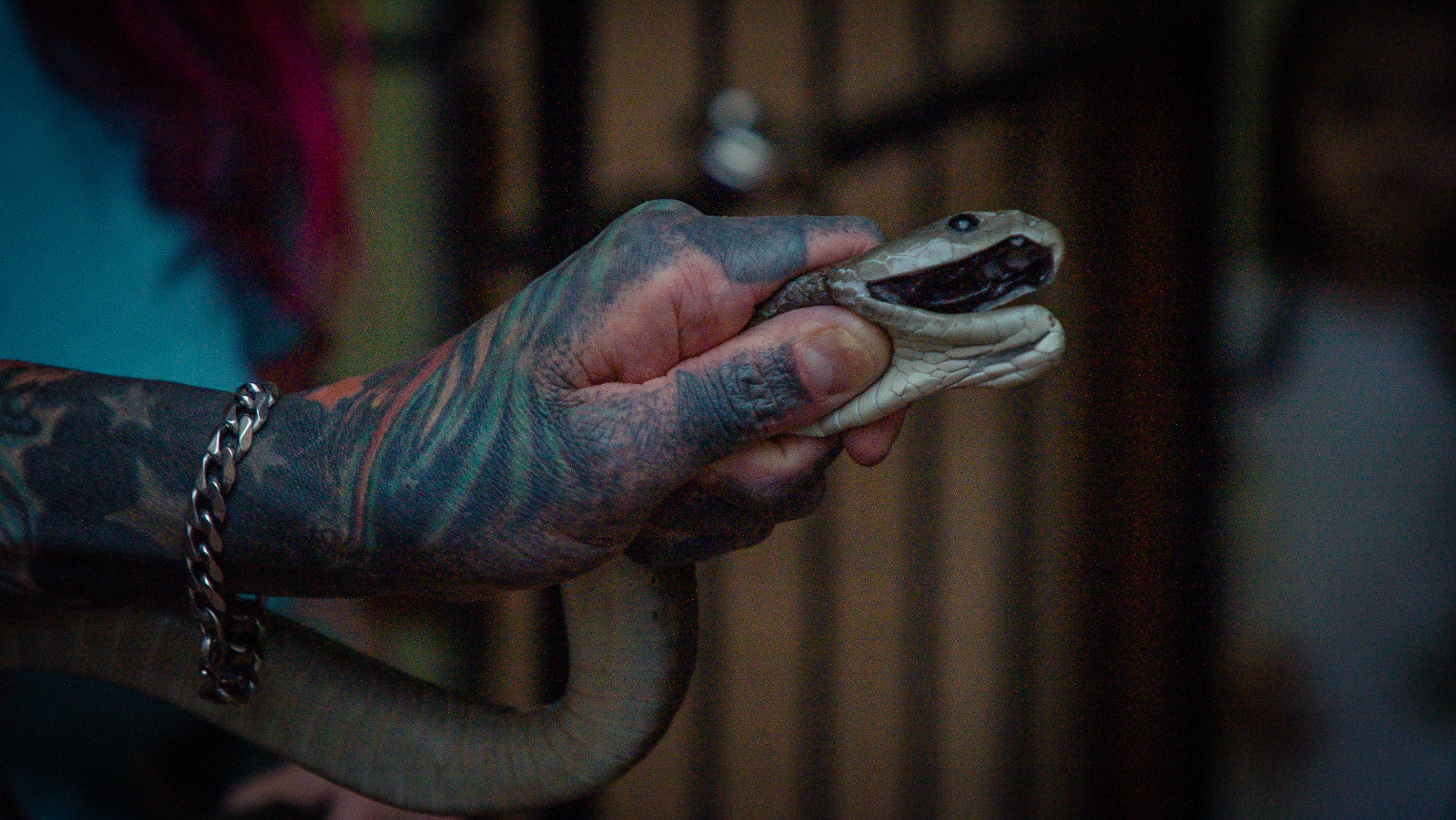 Snake City (3).jpg
