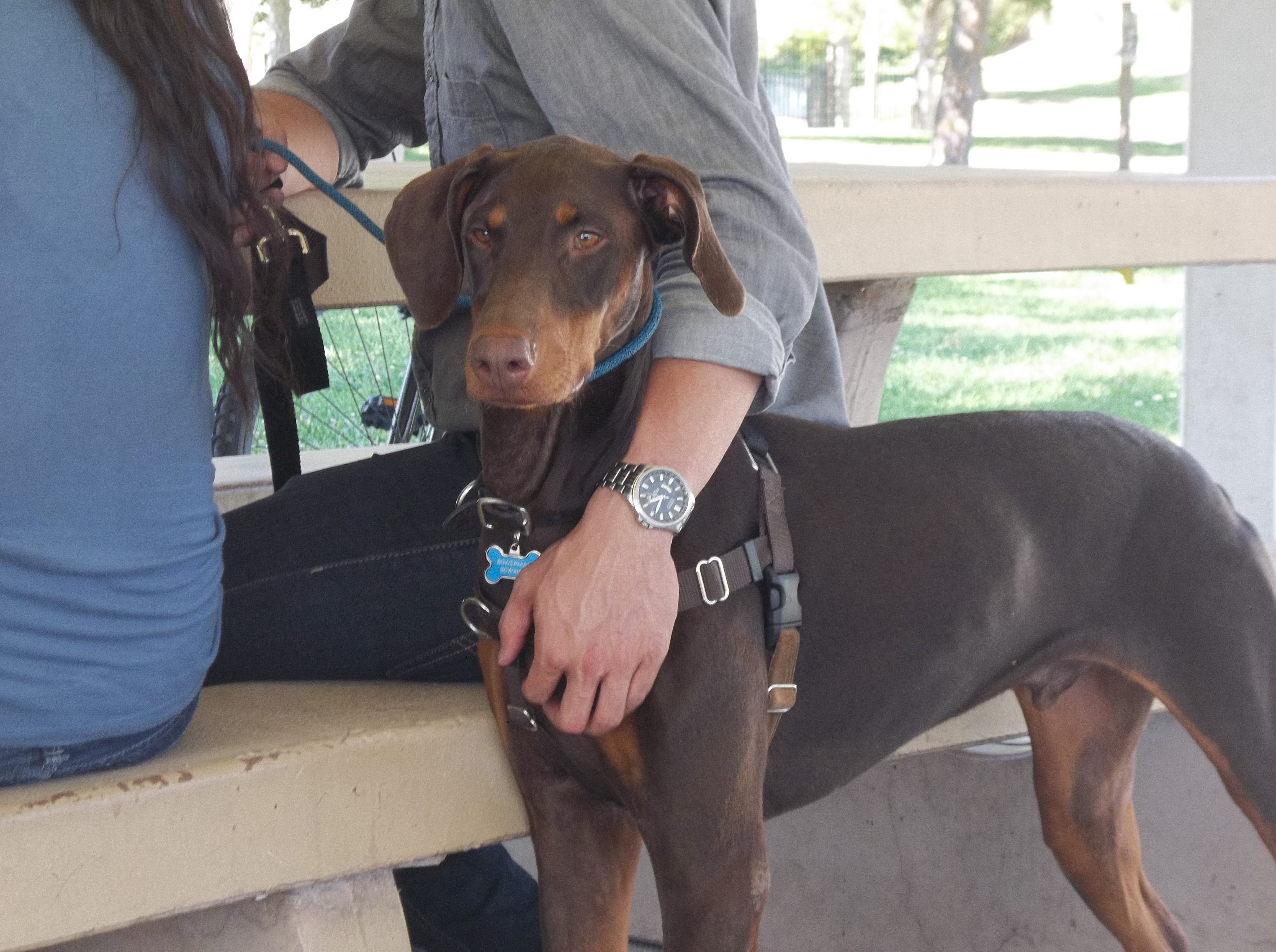 Holly's Terror (3).JPG