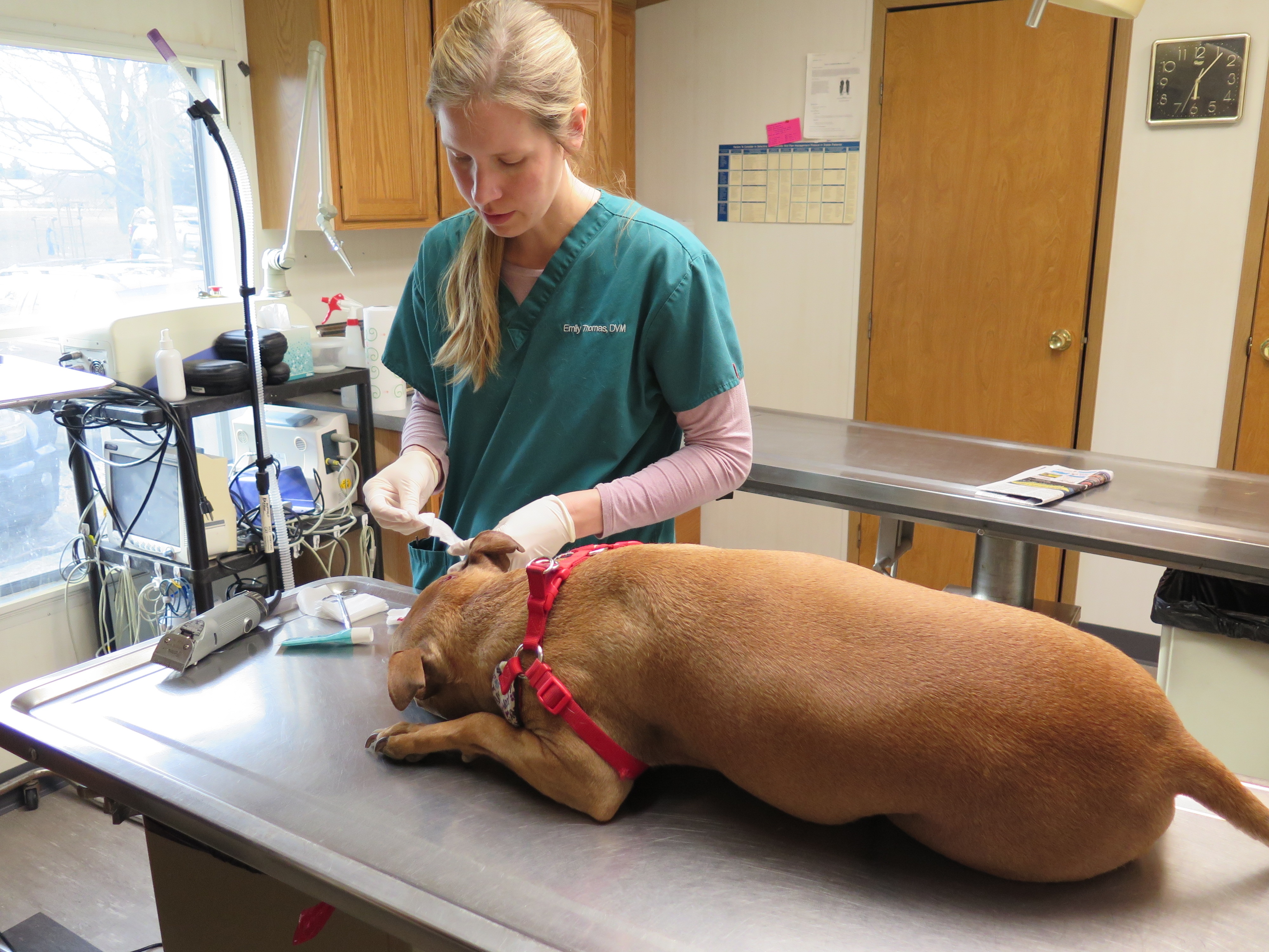 Kung Fu Biting (2).jpg