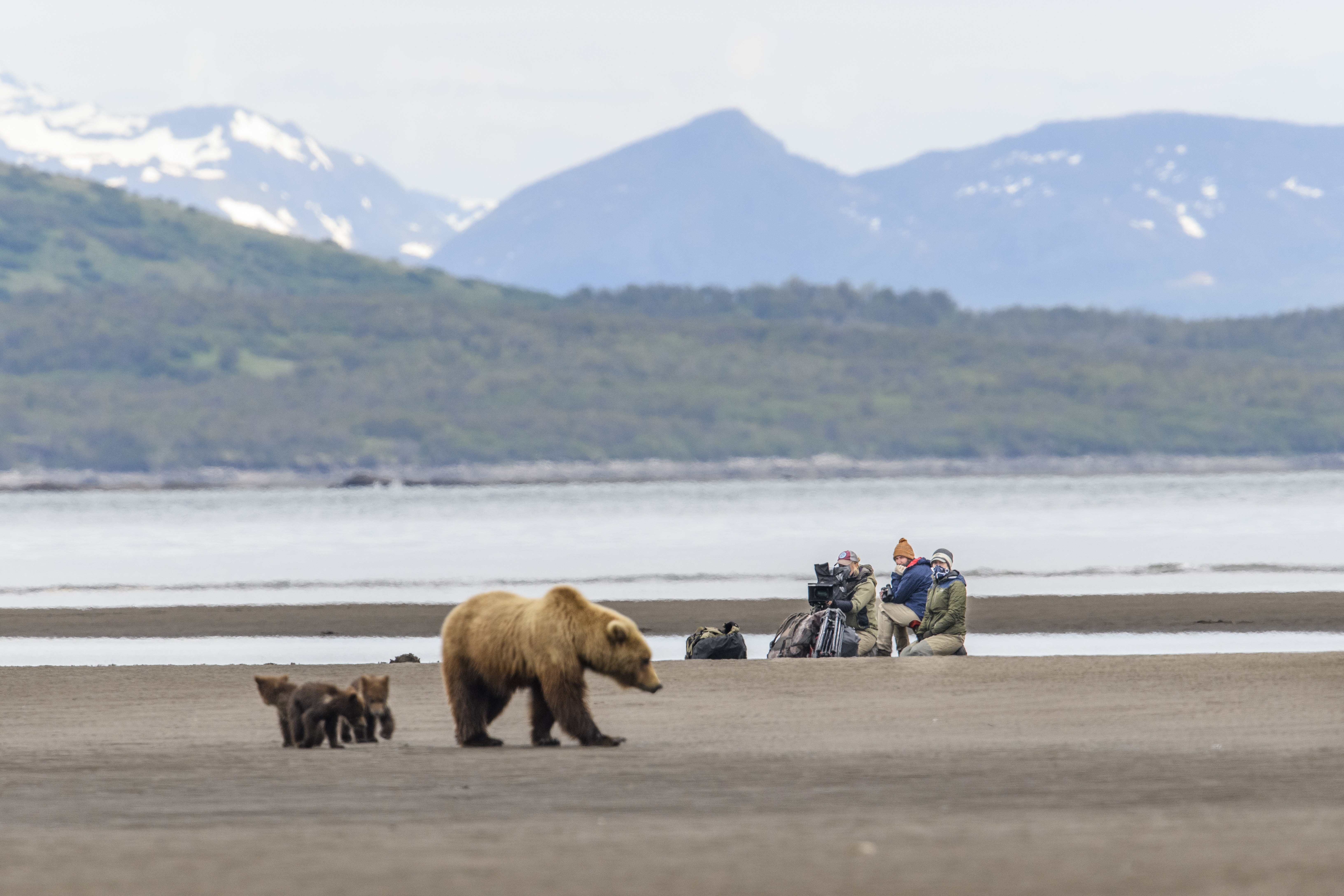 Coastal Queens (3).JPG
