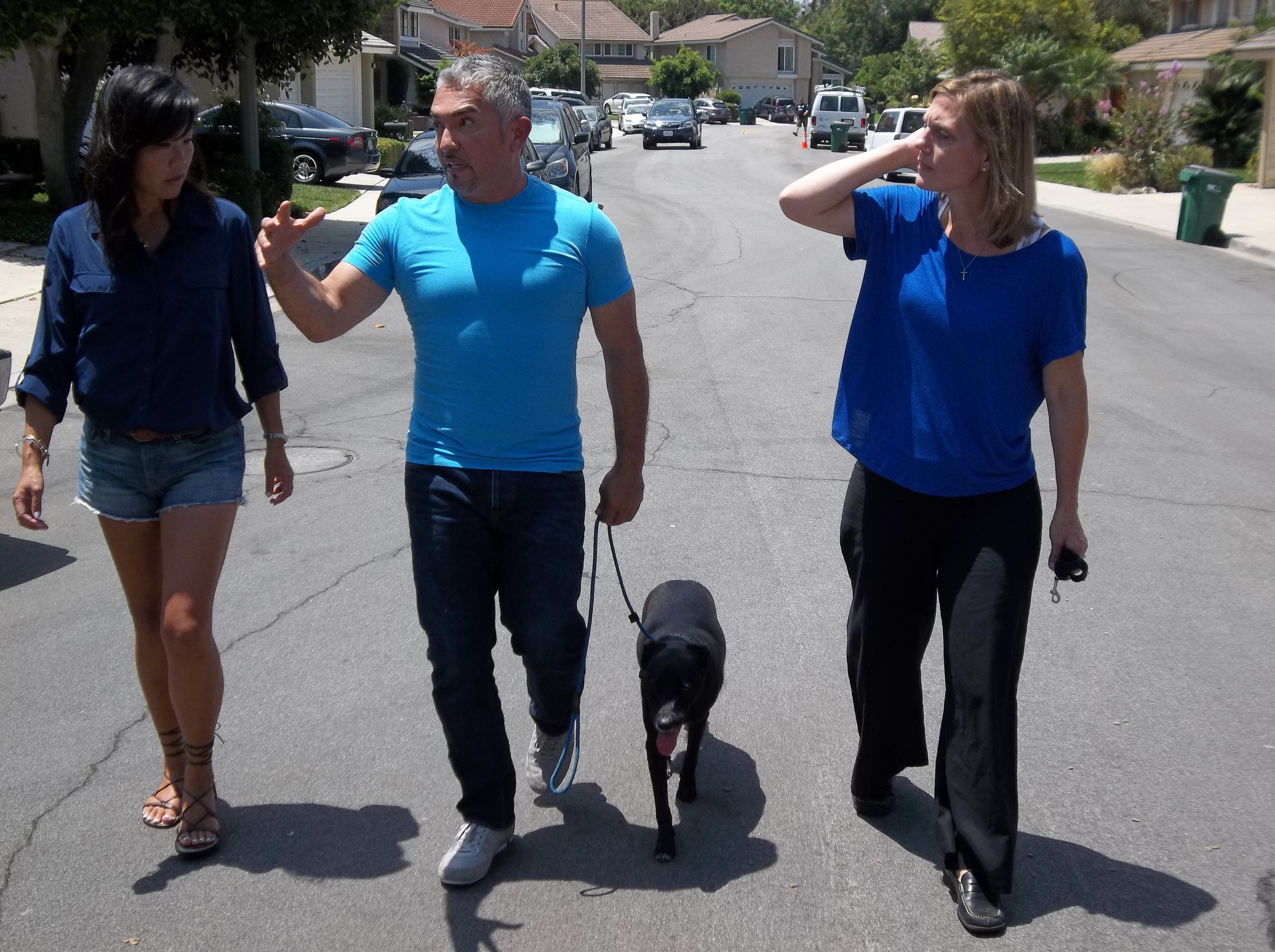 SOS Cesar  Danger au ranch ! (4).JPG