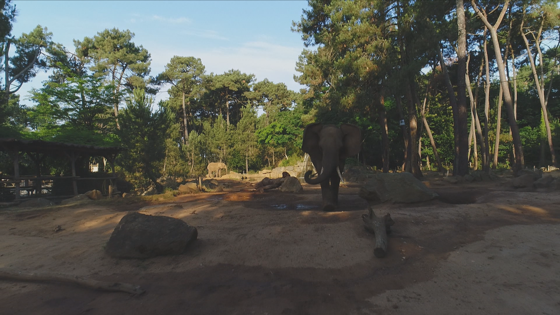 Une saison au zoo (3).tif