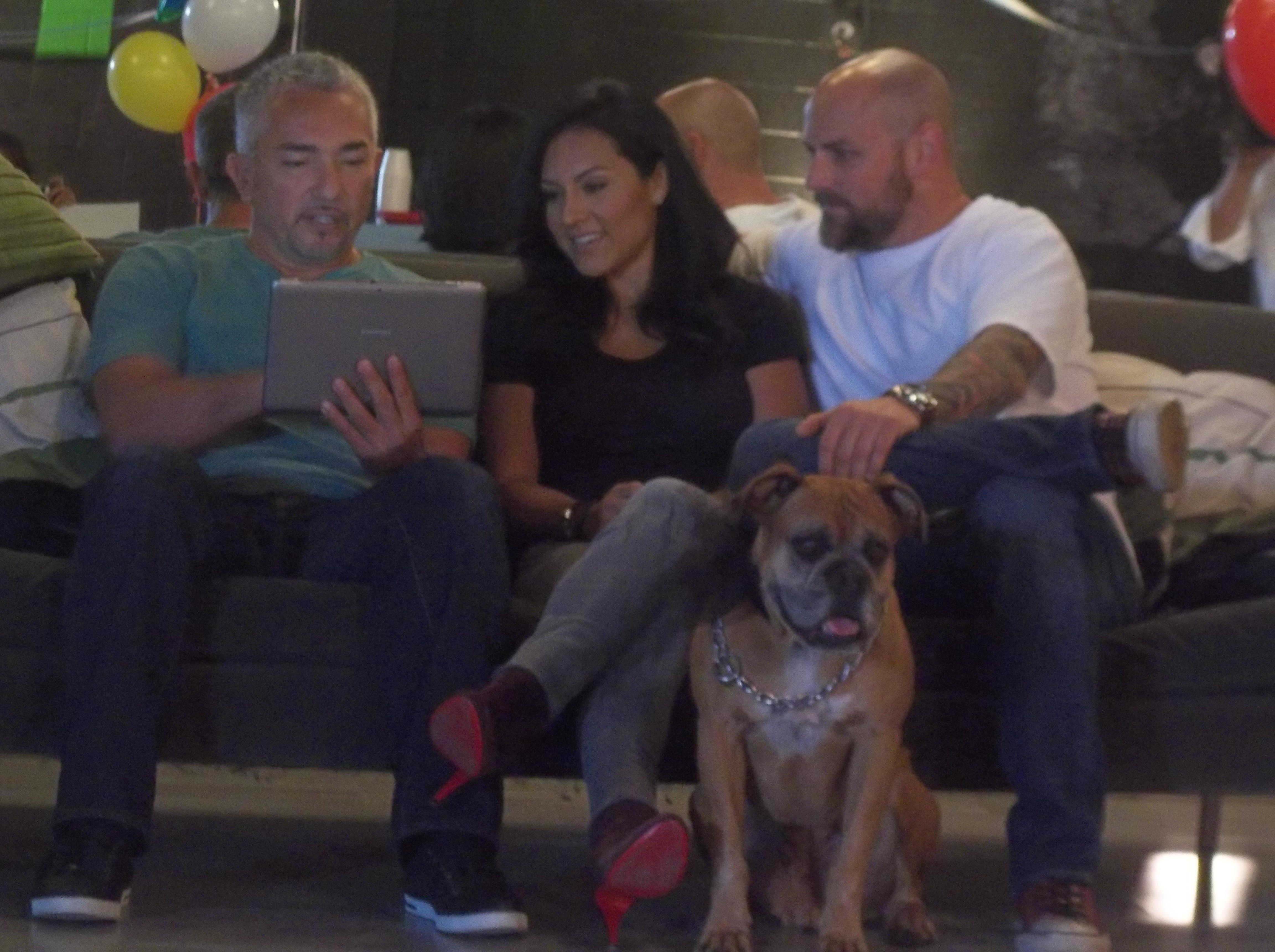 SOS Cesar  Truffle l’agité (3).JPG