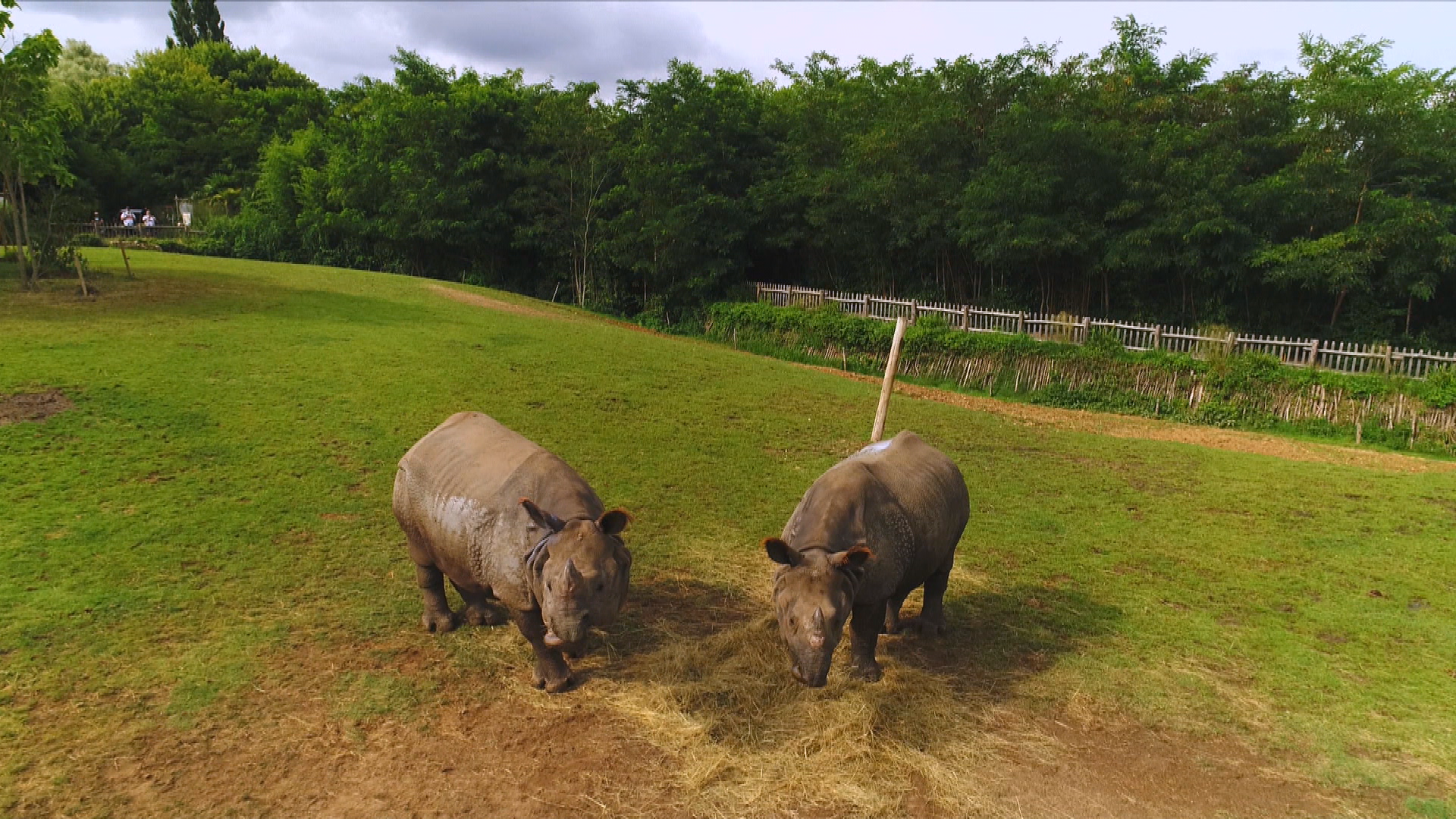 Une saison au zoo (3).tif