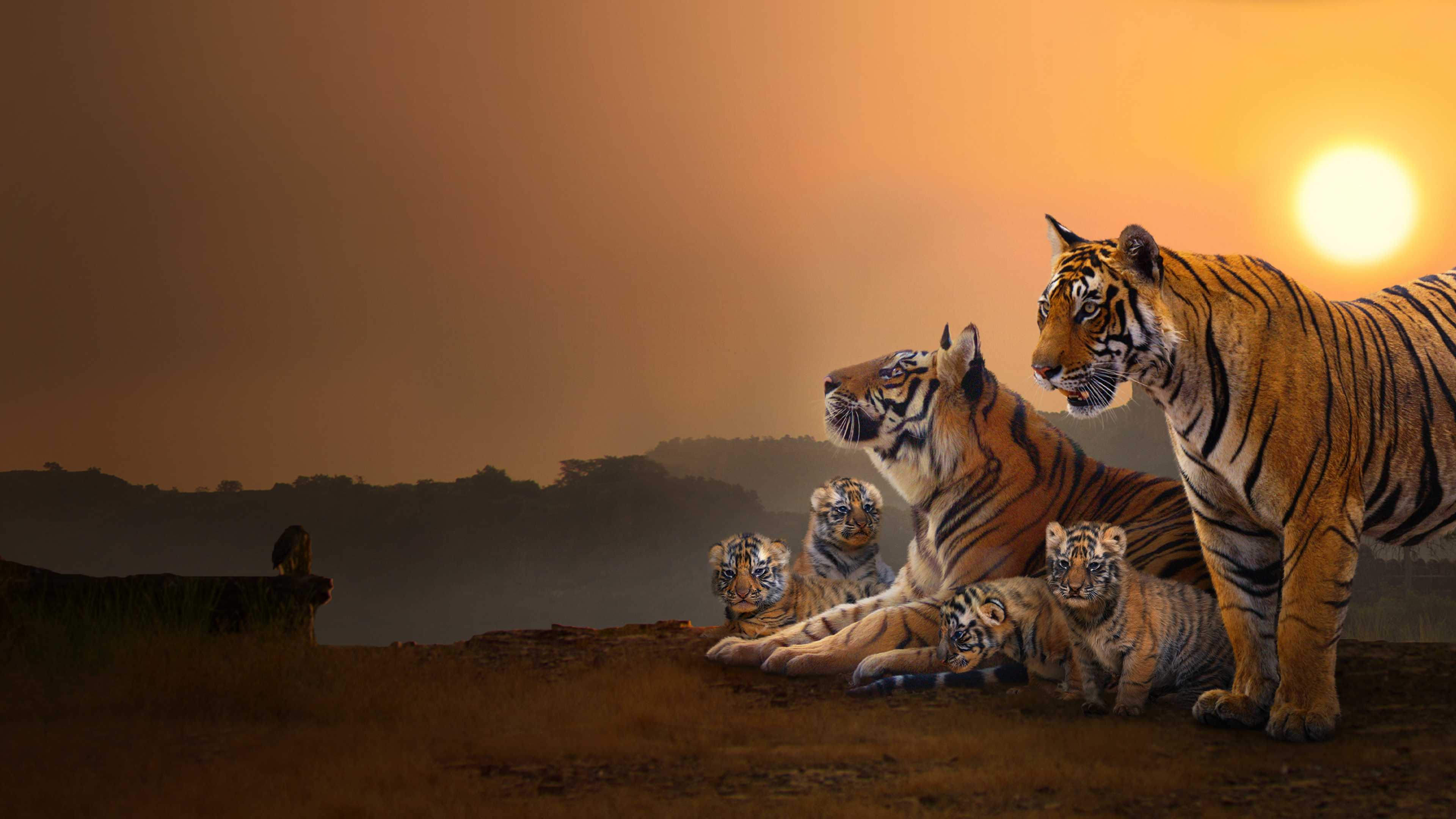 Tigres (3).png