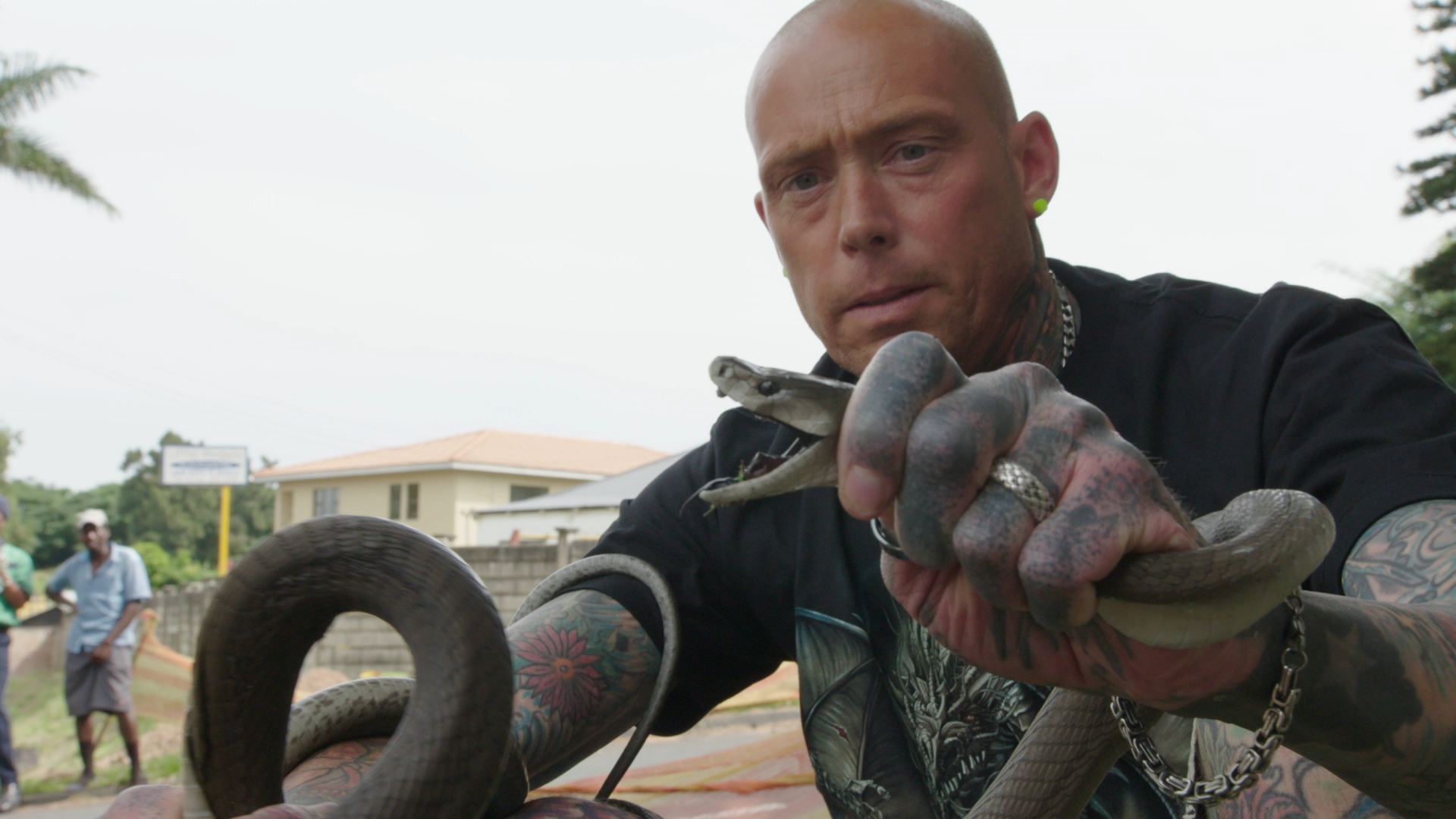 Snakes In The City  La fête aux pythons (3).jpg