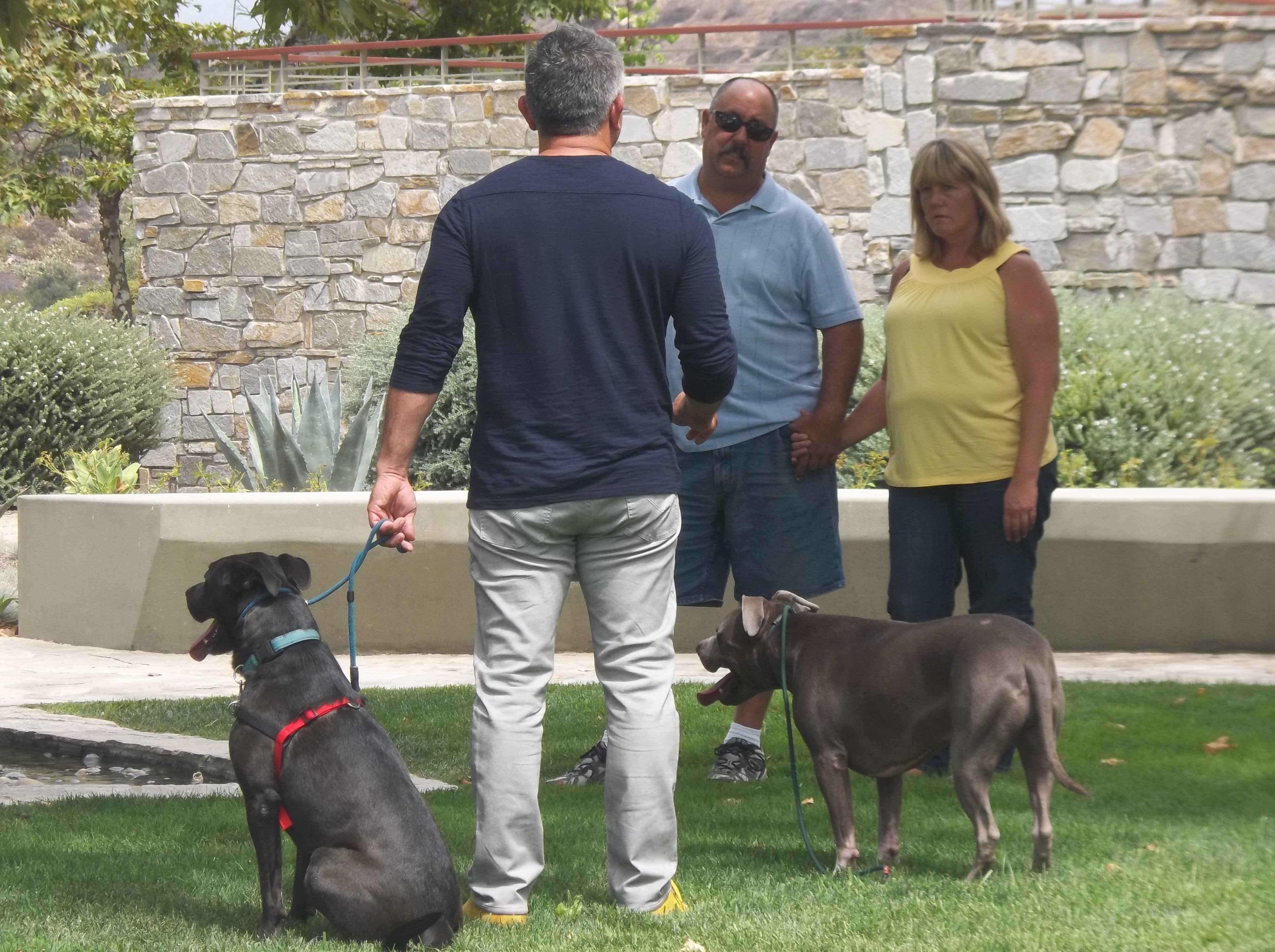 SOS Cesar  Truffle l’agité (2).JPG