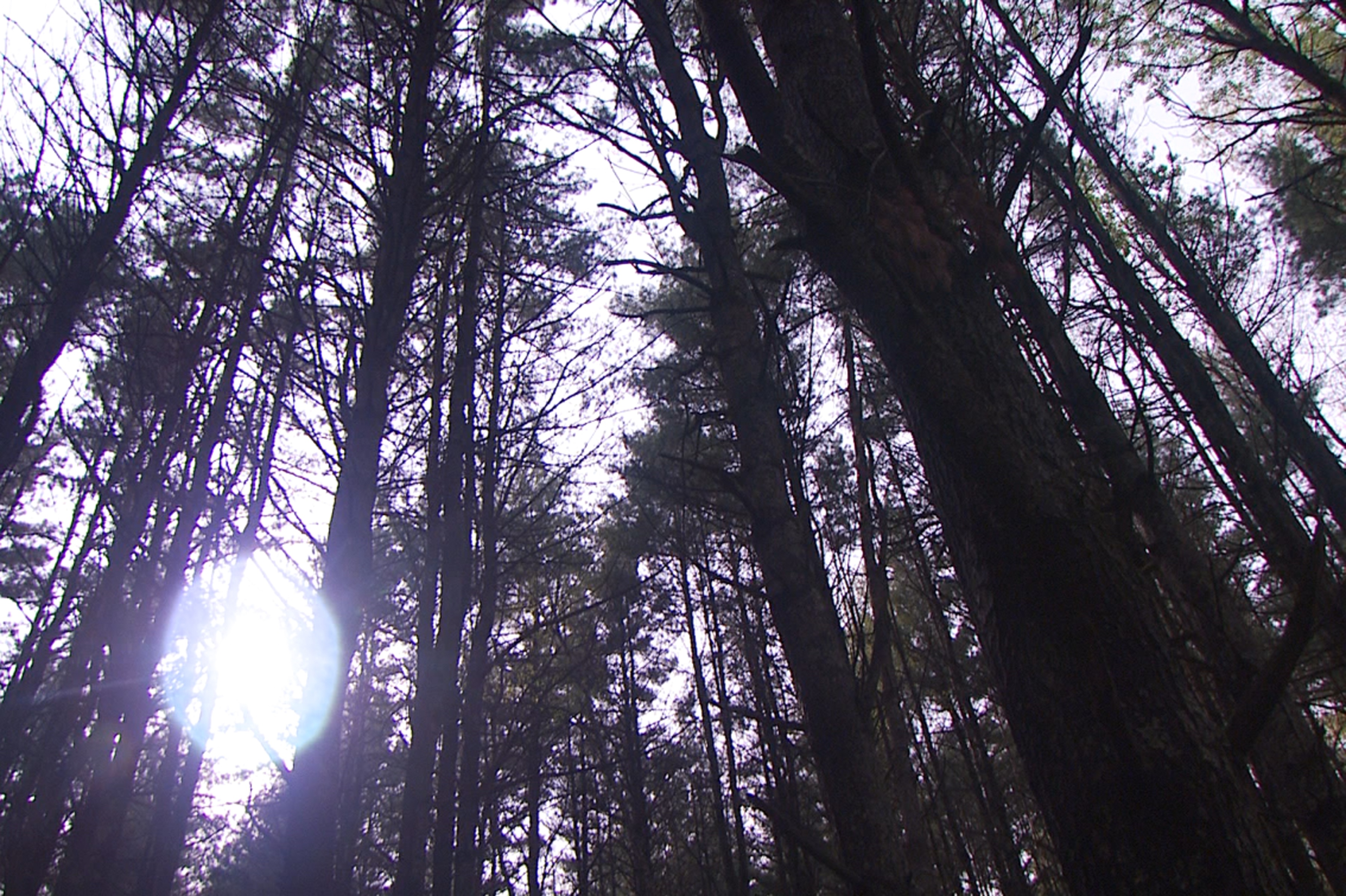 Voyage dans le Surnaturel  Alerte Apocalypse (1).jpg