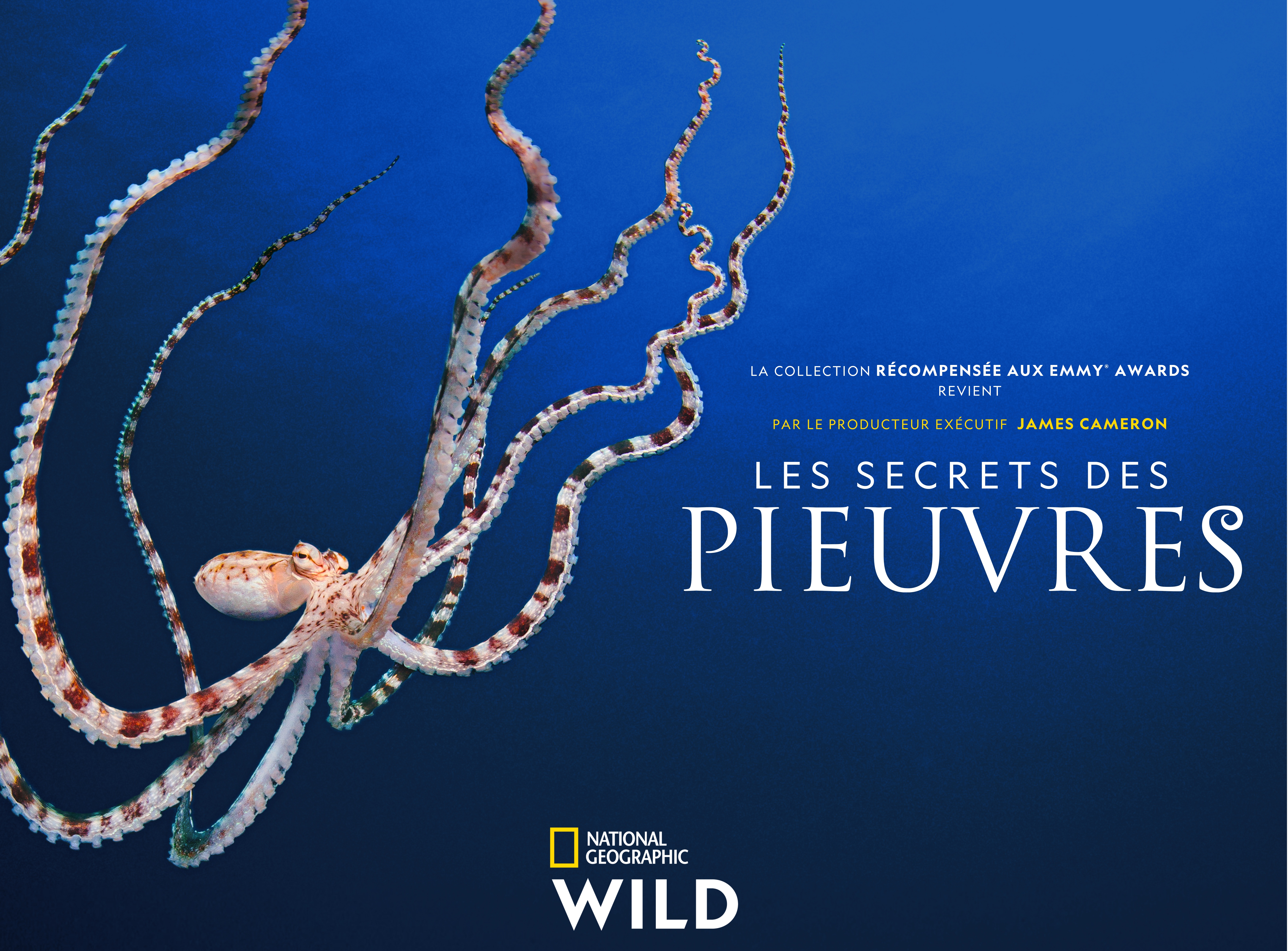 Les secrets des pieuvres KA.jpg