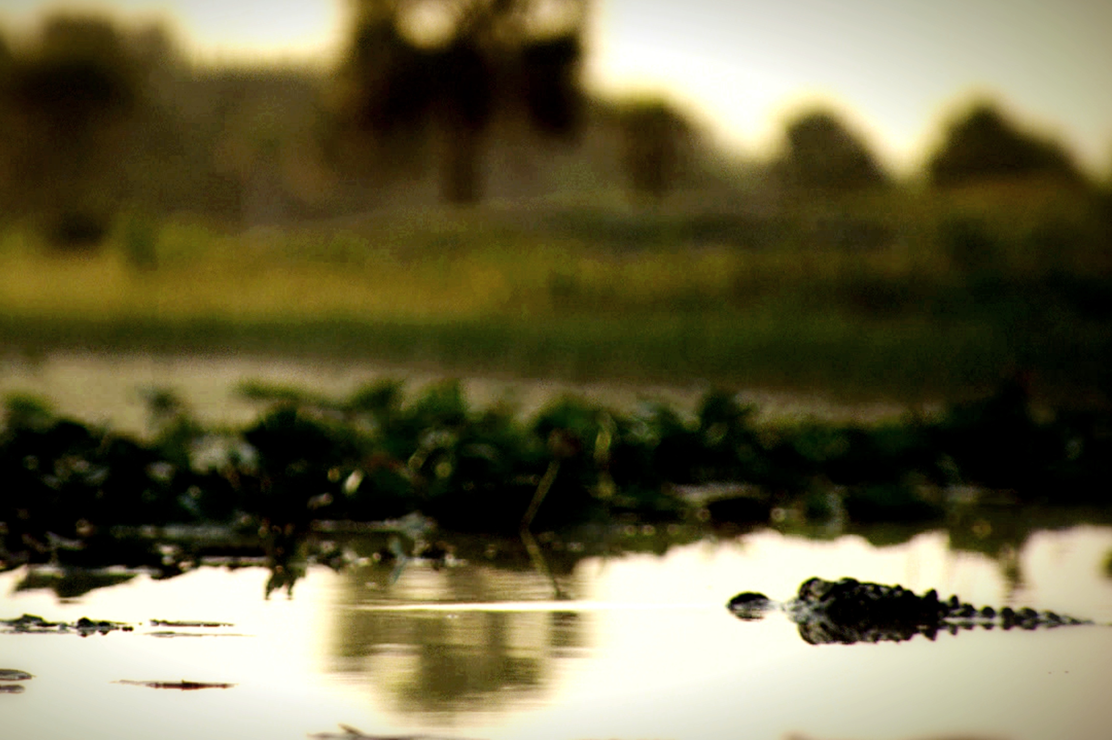 Les cowboys des marais  Tempête en vue (3).JPG