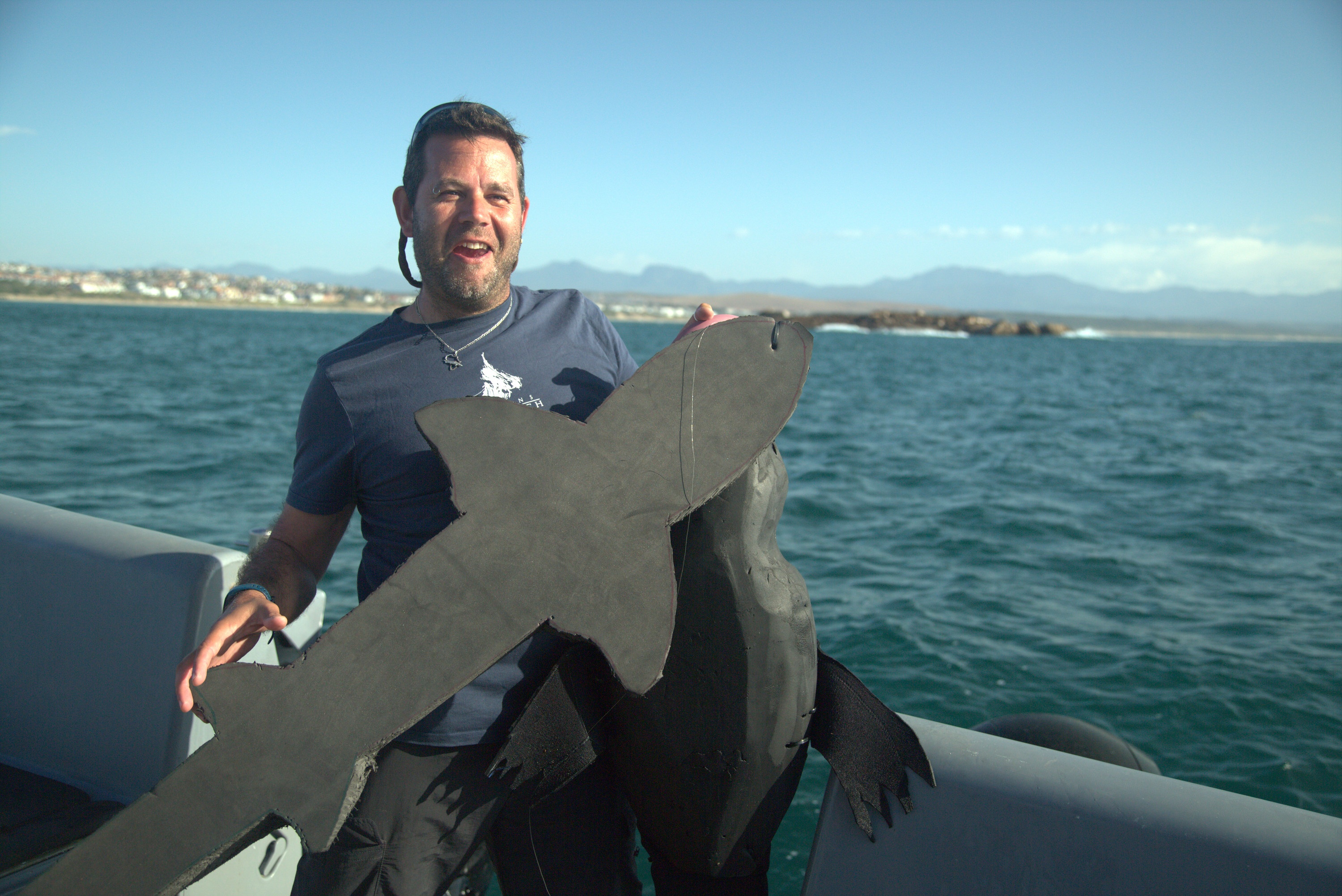 Shark Eat Shark (1).jpg