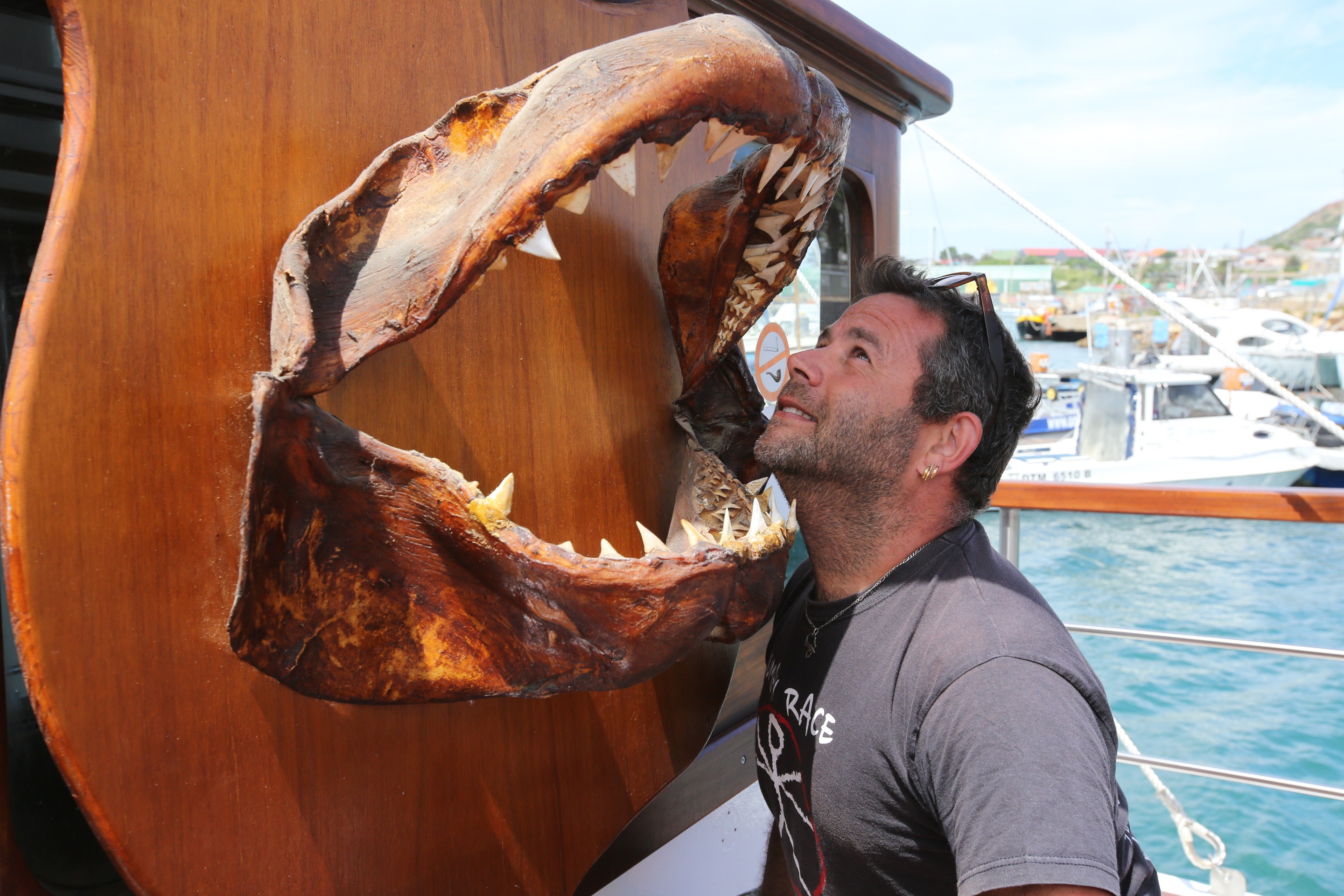 Shark Eat Shark (3).jpg