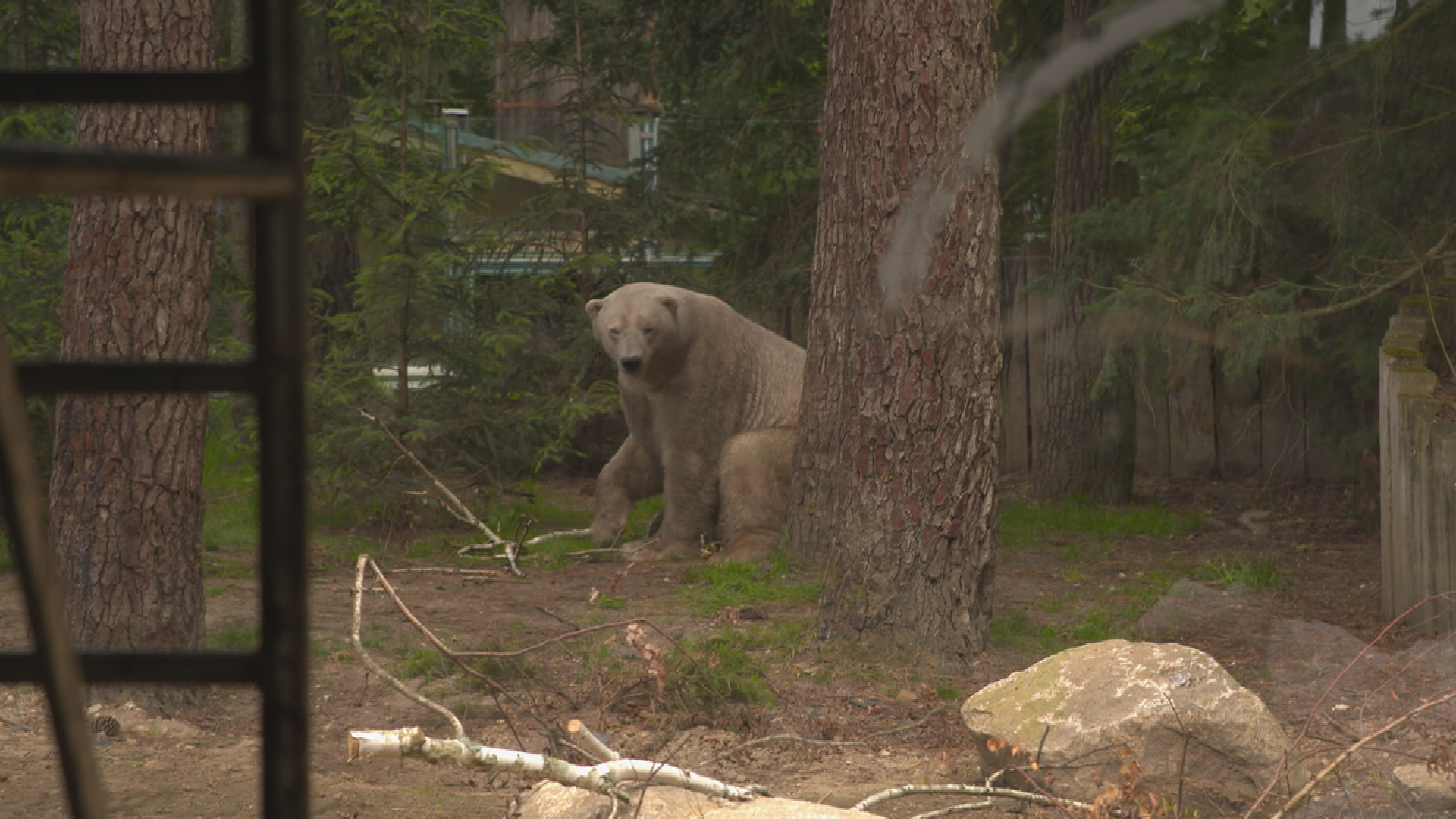 Une saison au zoo (2).tif