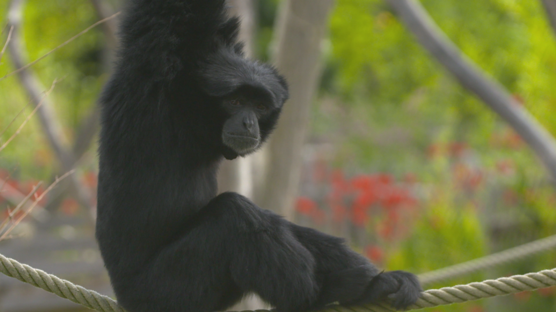 Une saison au zoo (3).tif