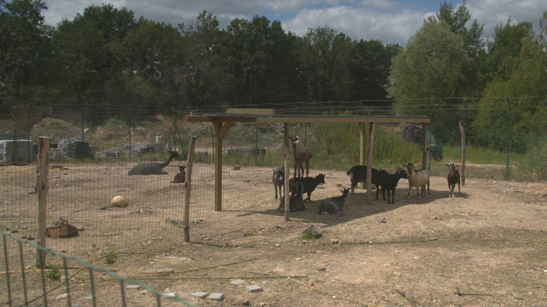 Une saison au zoo 12 (3).tif