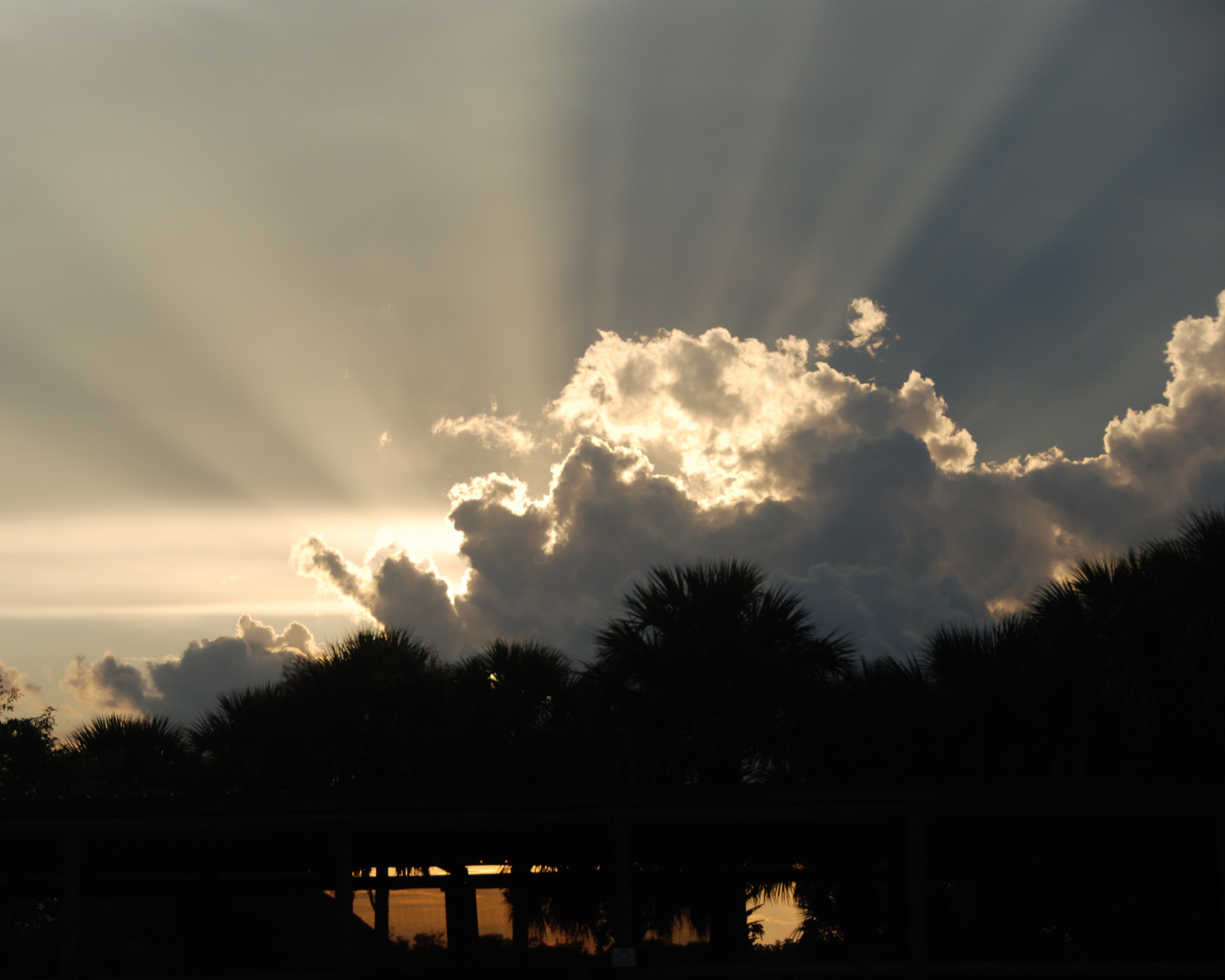 Les cowboys des marais  Le méchant alligator (2).JPG