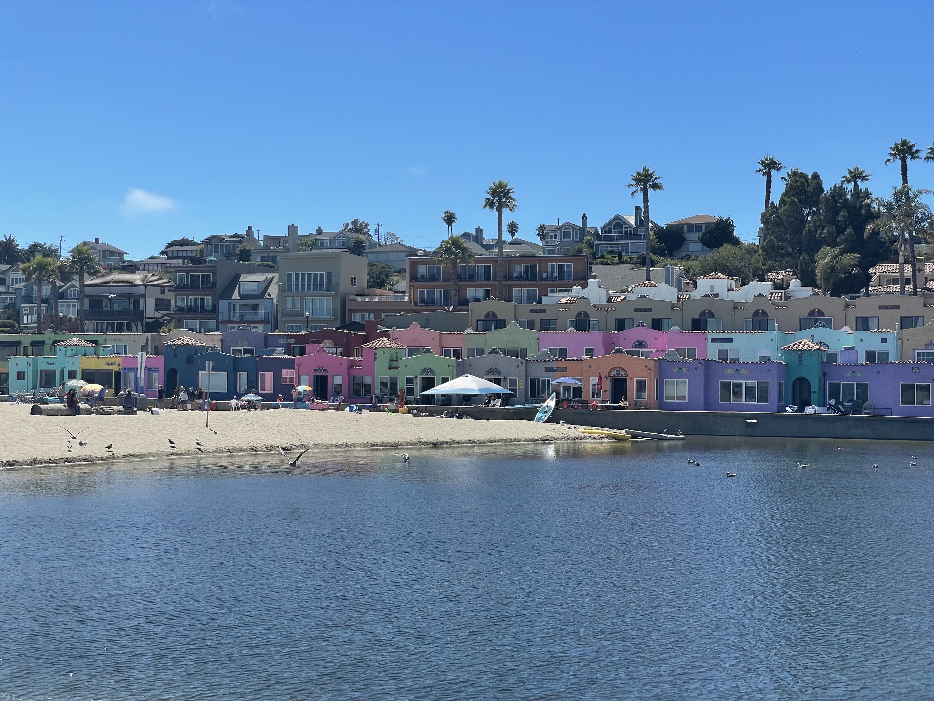 Crise en Californie (1).jpg