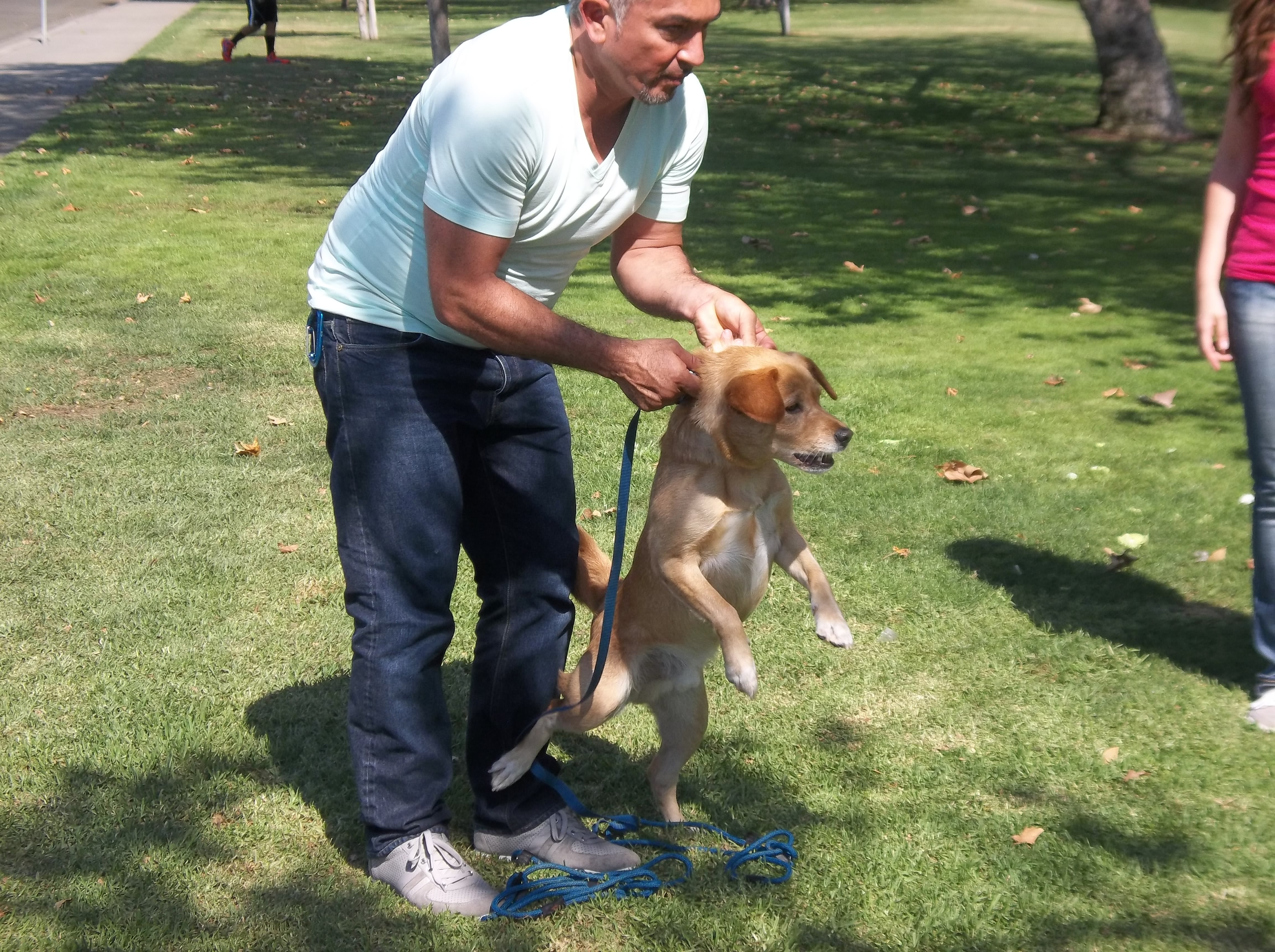 SOS Cesar en Asie  Le bébé ou le chien ! (2).JPG