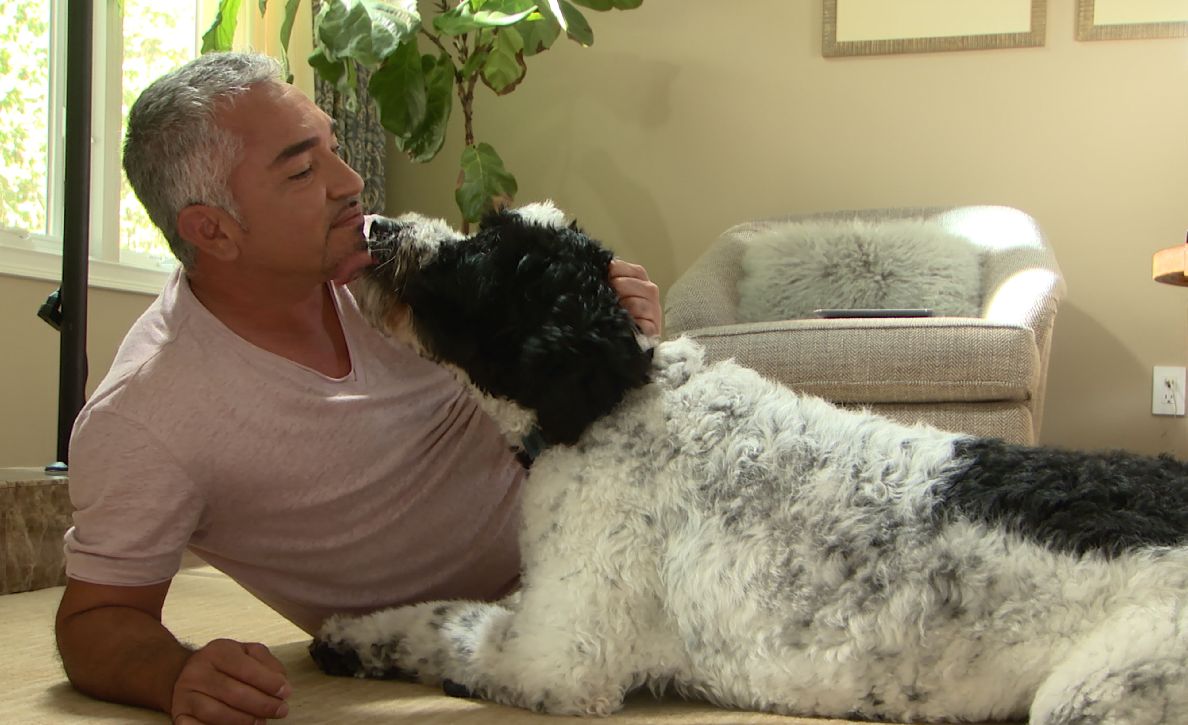 SOS Cesar en Asie  Le bébé ou le chien ! (3).jpg