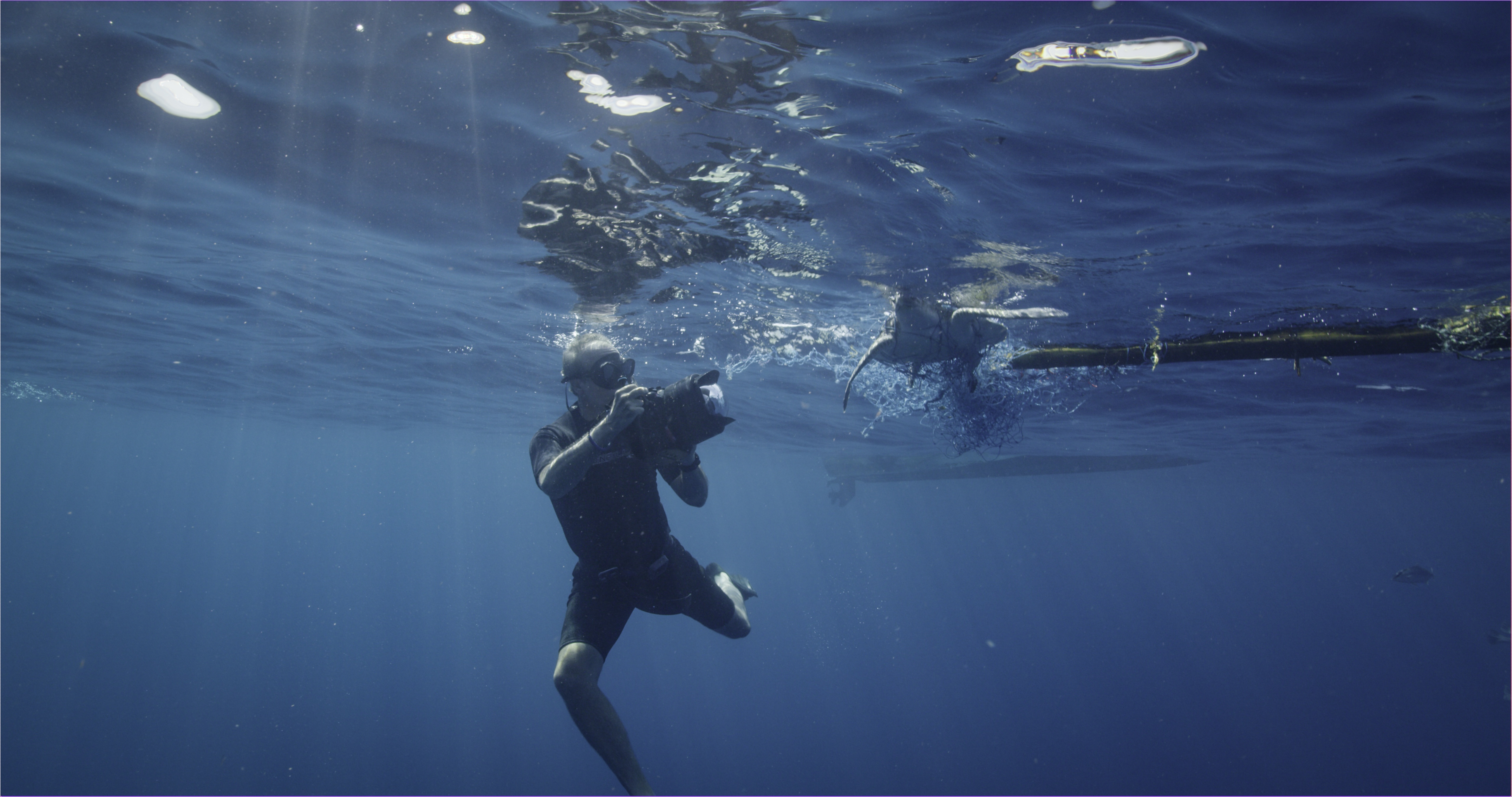 La dynastie des orques (2).jpg