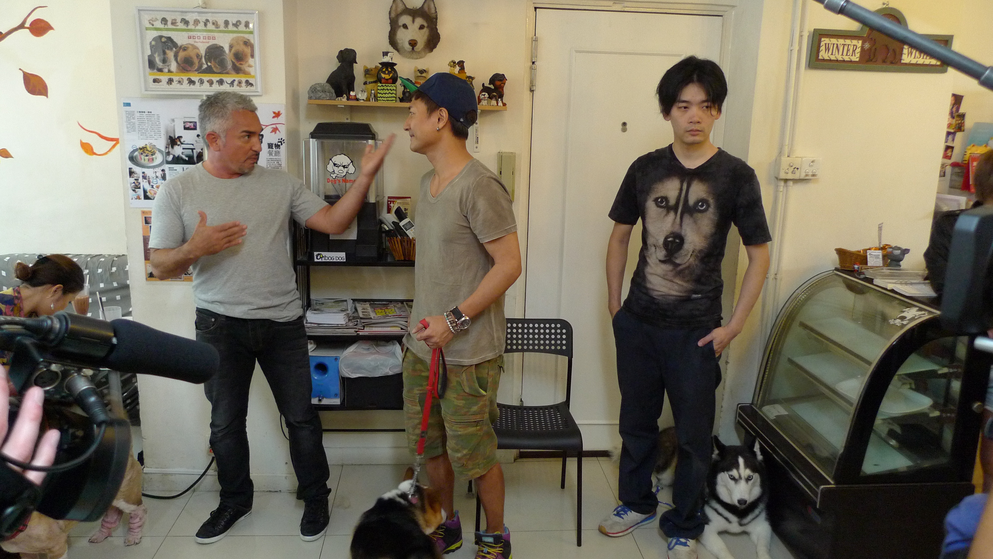 SOS Cesar en Asie  Problème au Dog Café! (3).jpg