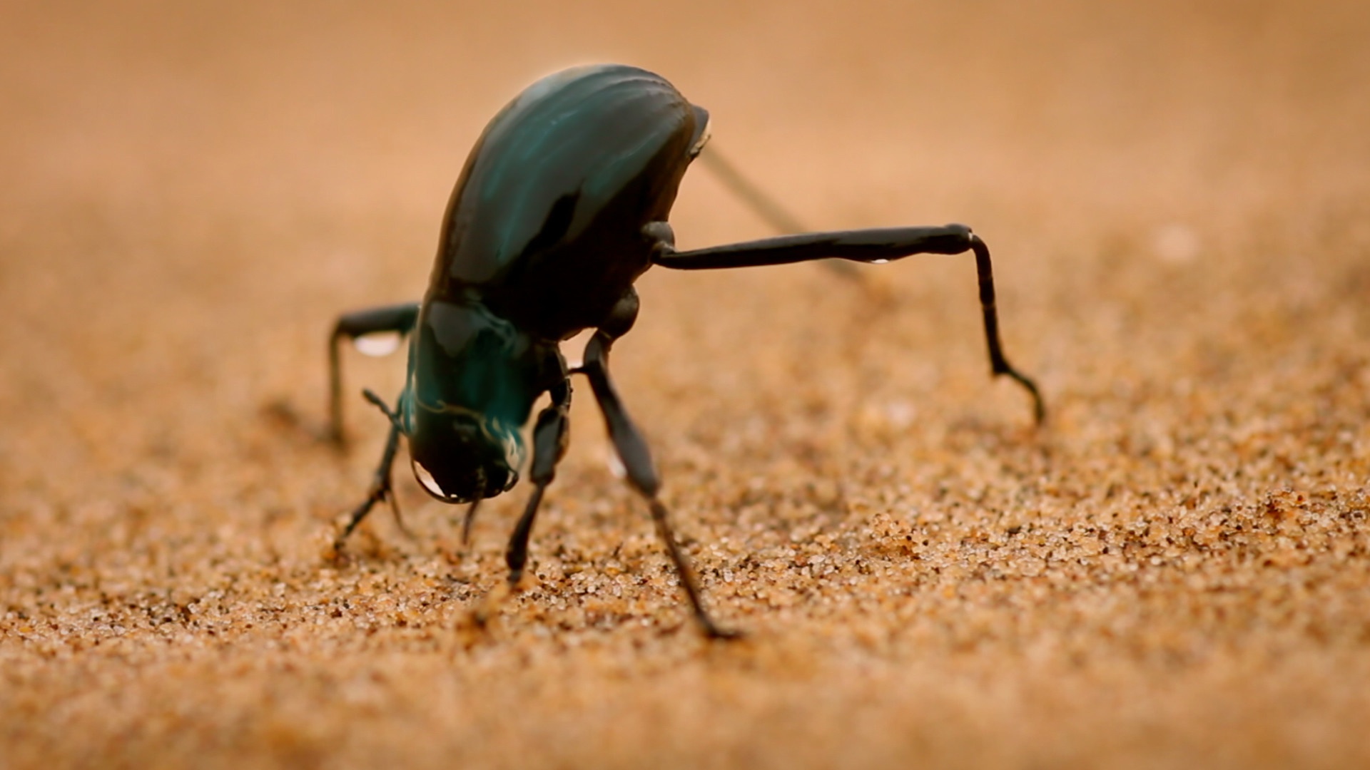 Armes secrètes (3).jpg