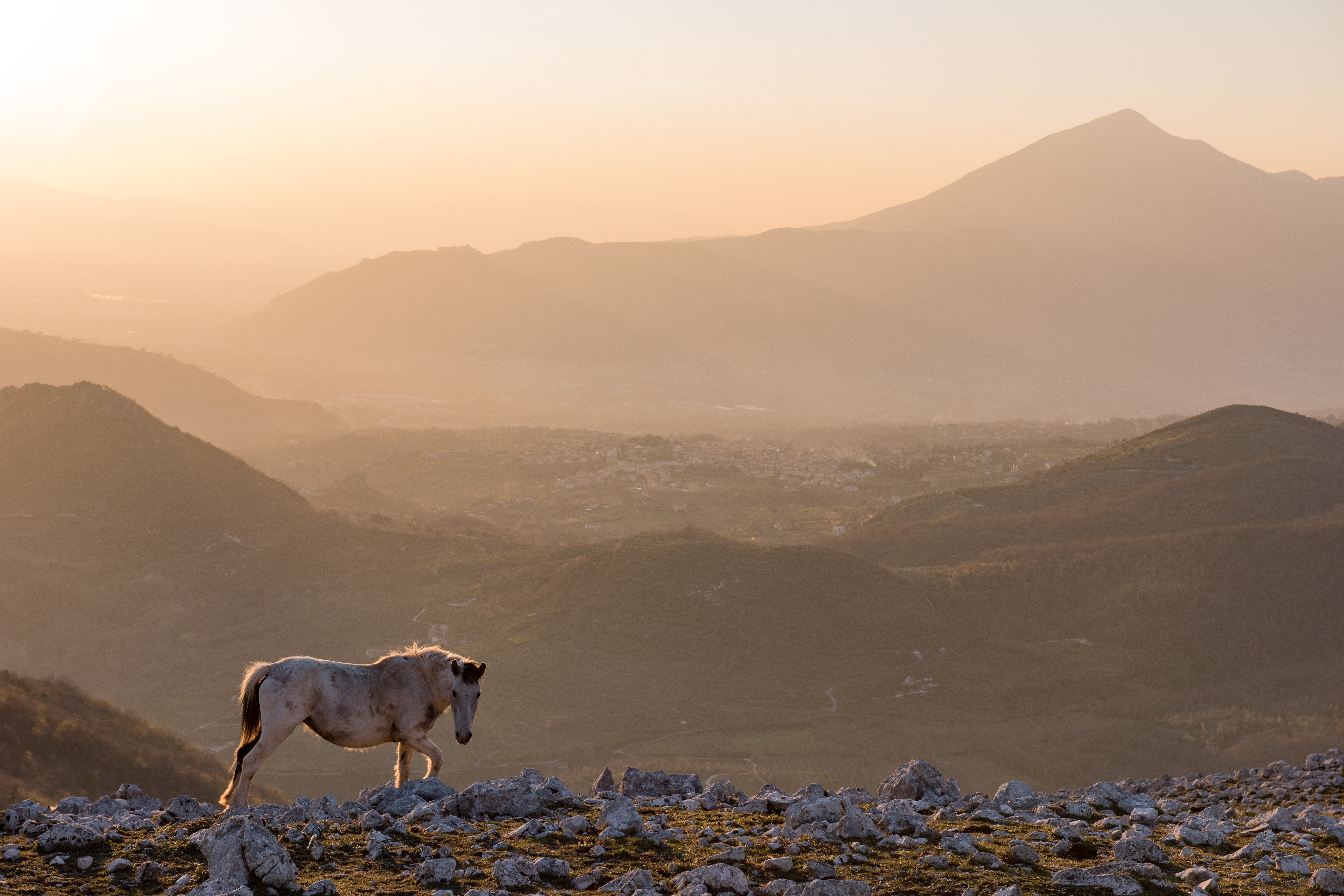 Seconde Guerre Mondiale  Les derniers secrets - La route sanglante vers Rome (2).jpg