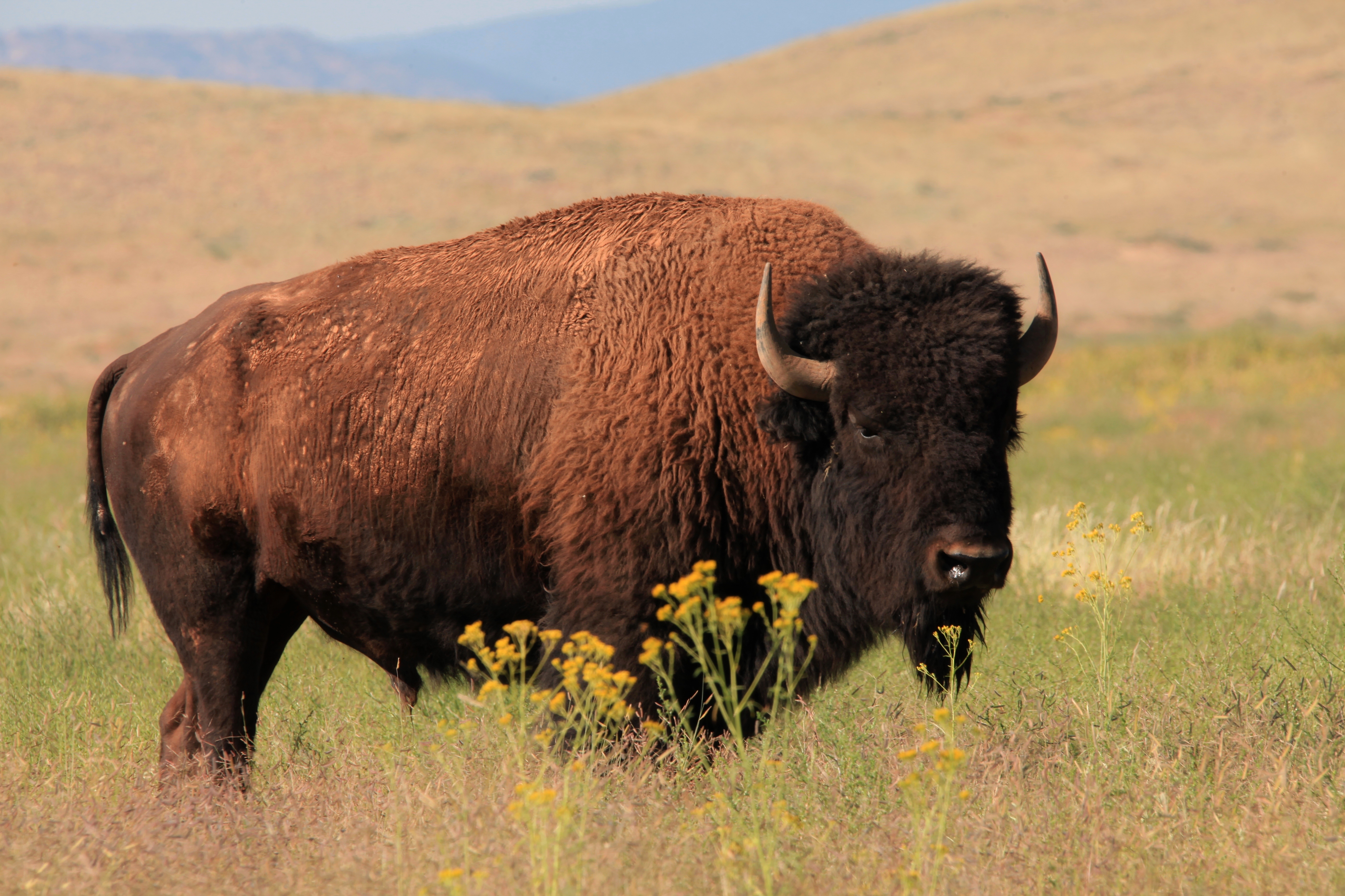 Destination Wild  Mexique - La chasse aux trésors (2).jpg