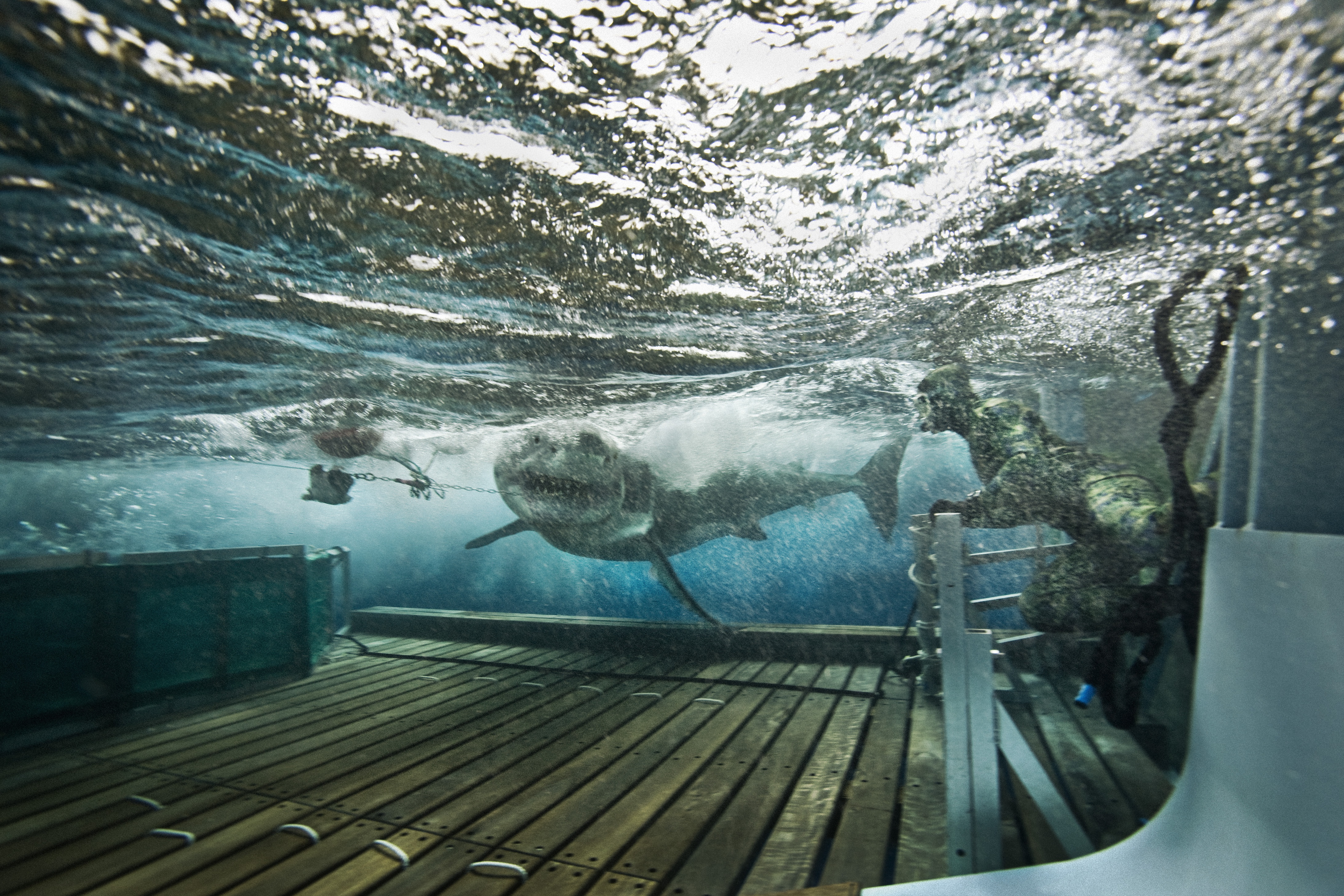 Les hommes-requins  Mission impossible (1).JPG