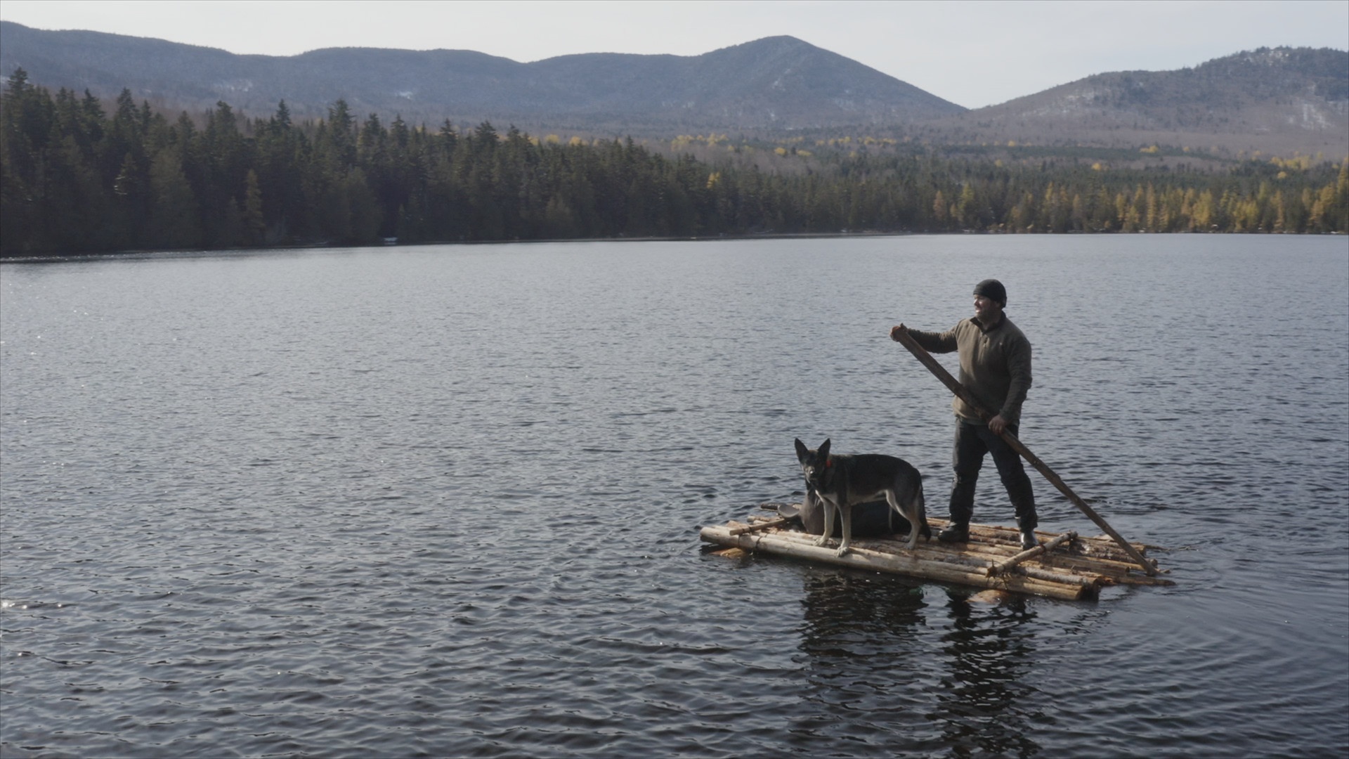 A l'épreuve de la nature Quand les chiens aboient… (1).jpg