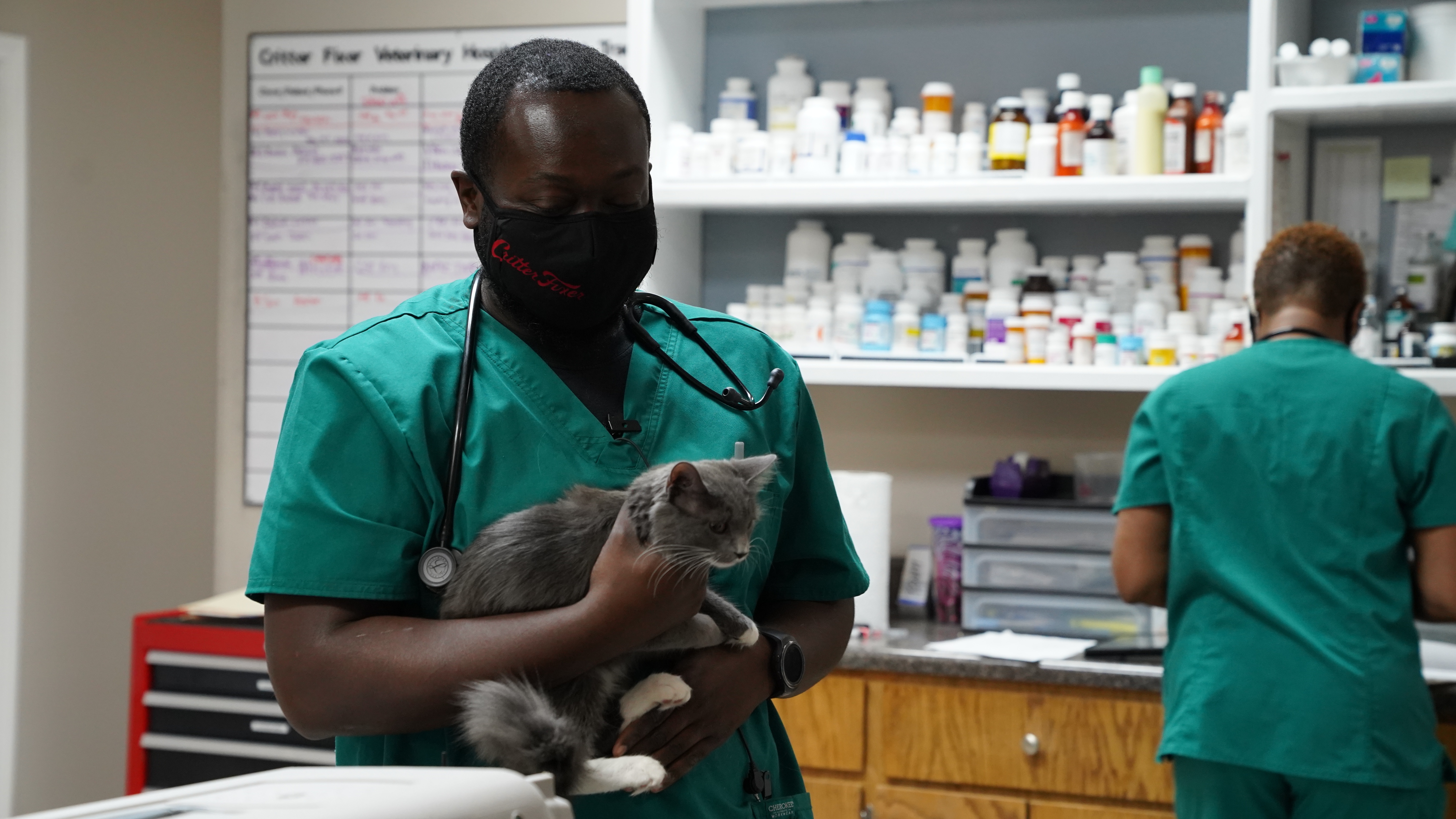 Vétérin’hair (2).jpg