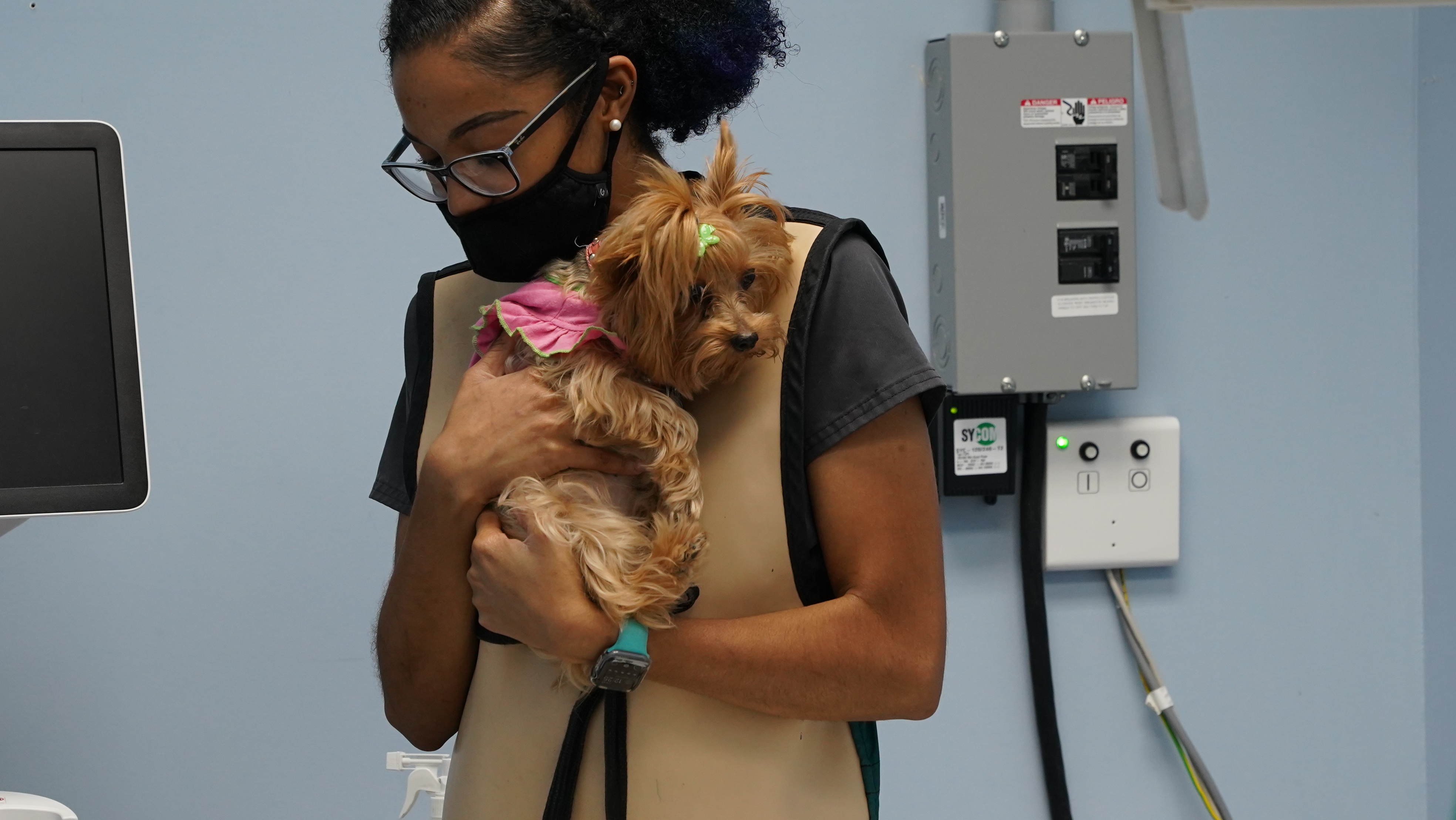 Vétérin’hair (3).jpg