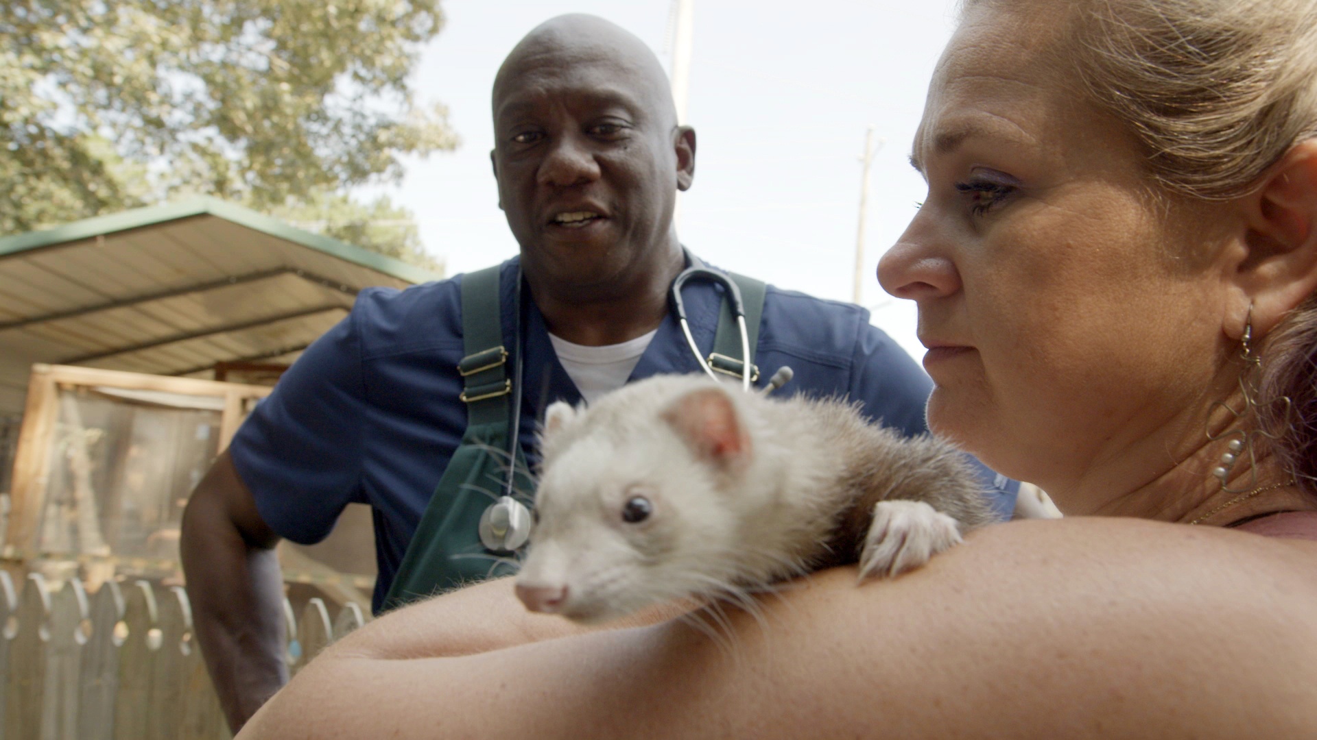 Chouette alors ! (2).jpg