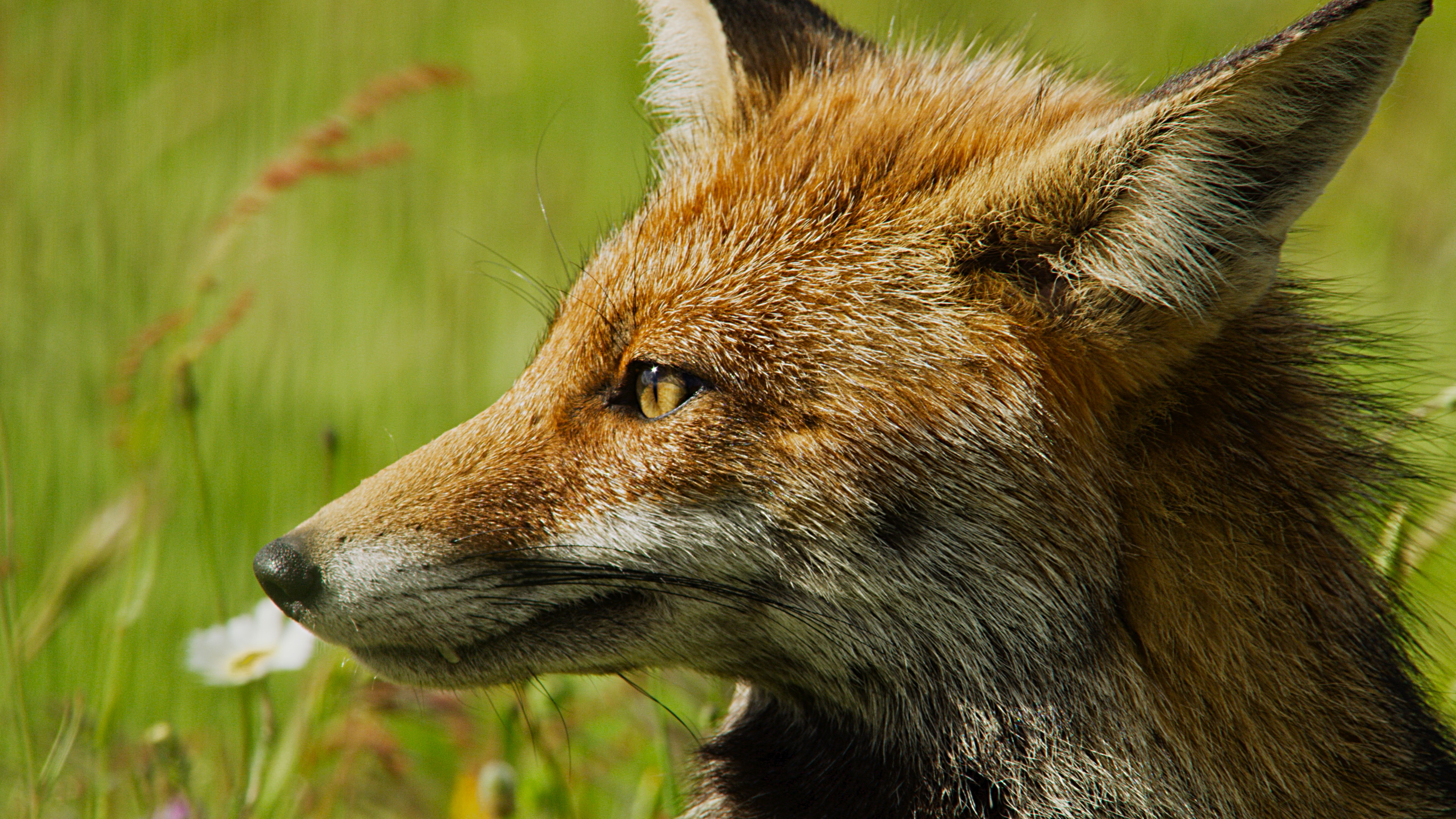 Destination Wild  Portugal (1).jpg