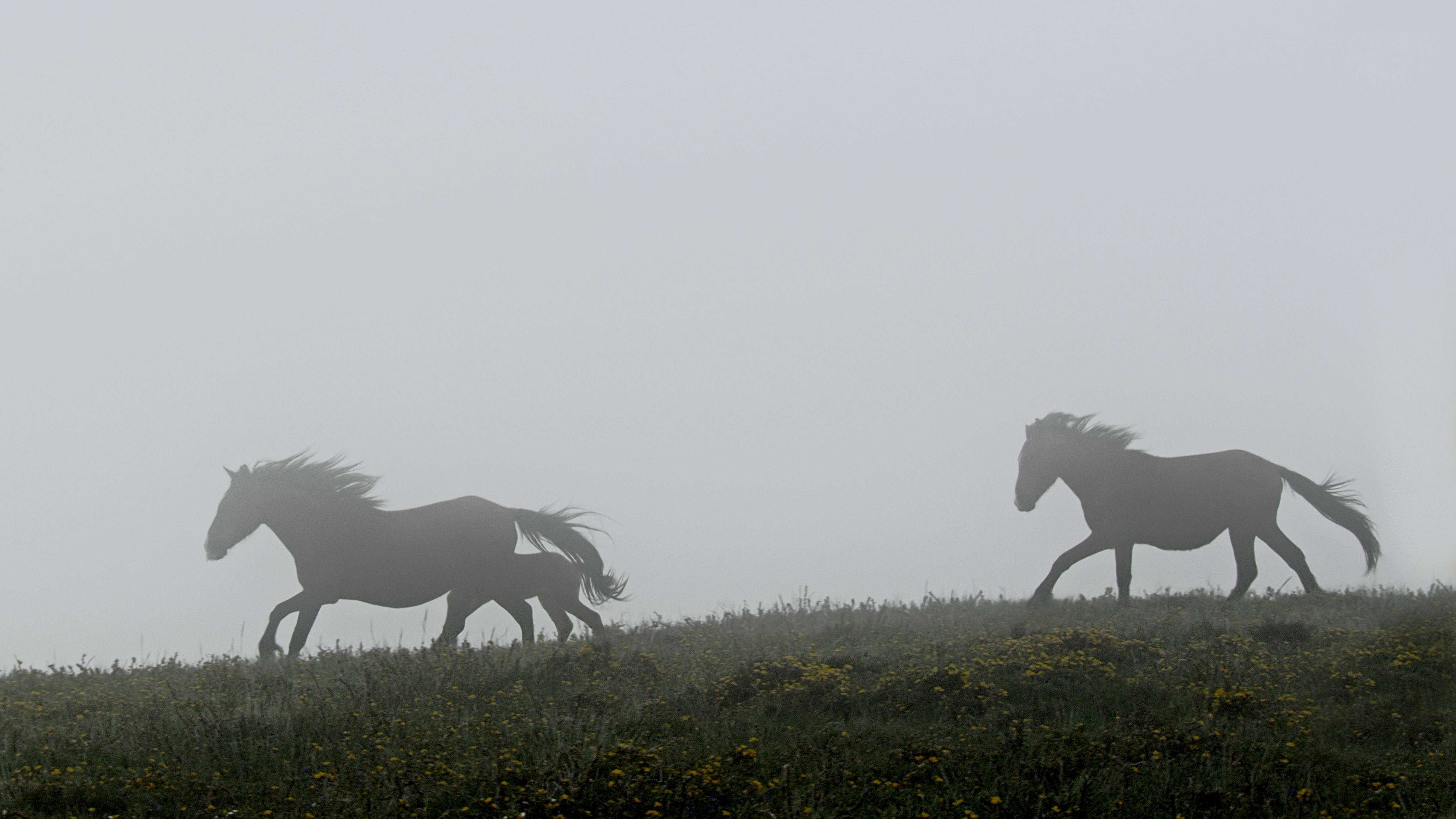 Destination Wild  Portugal (2).jpg
