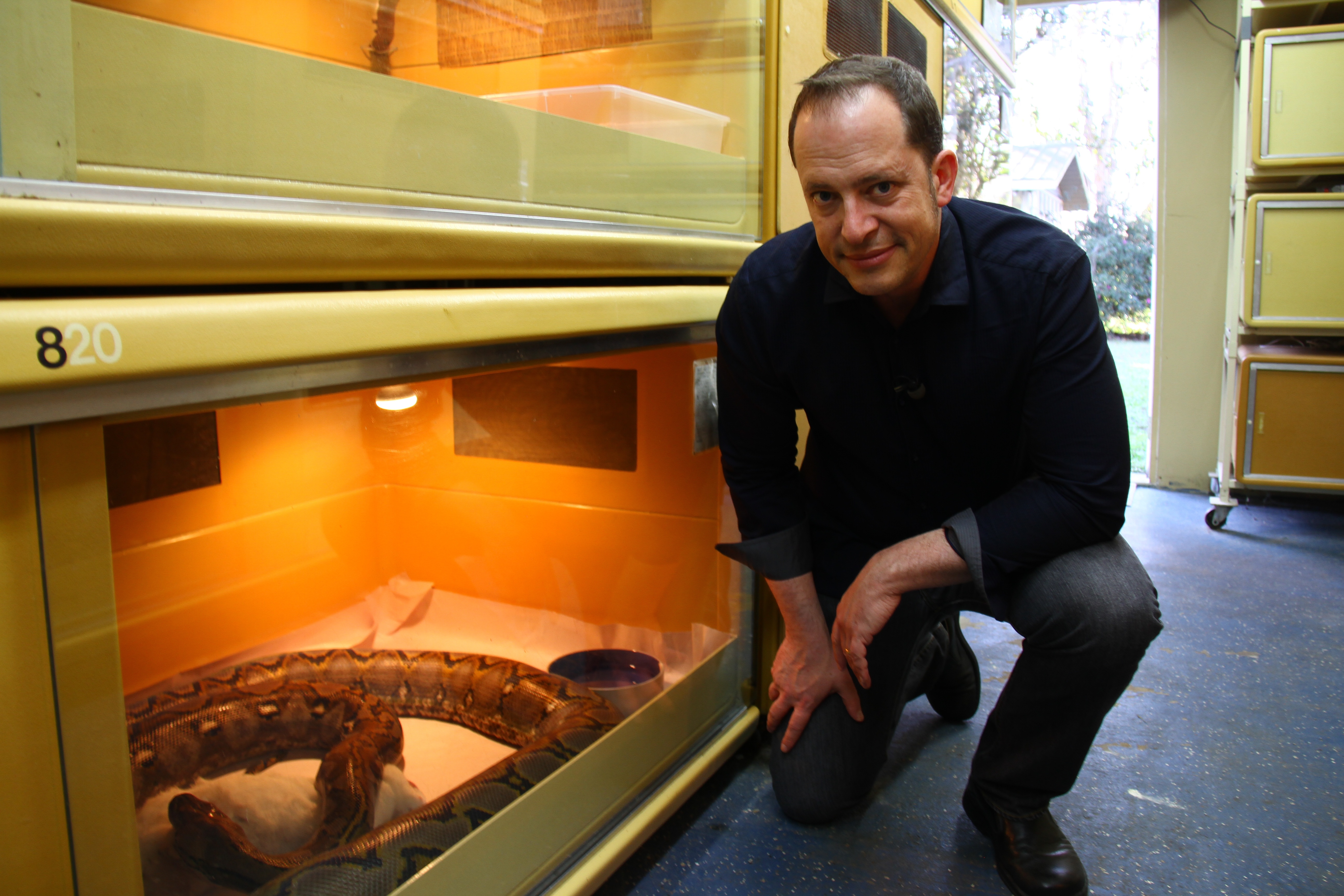 Les monstres du Jurassique (2).jpg