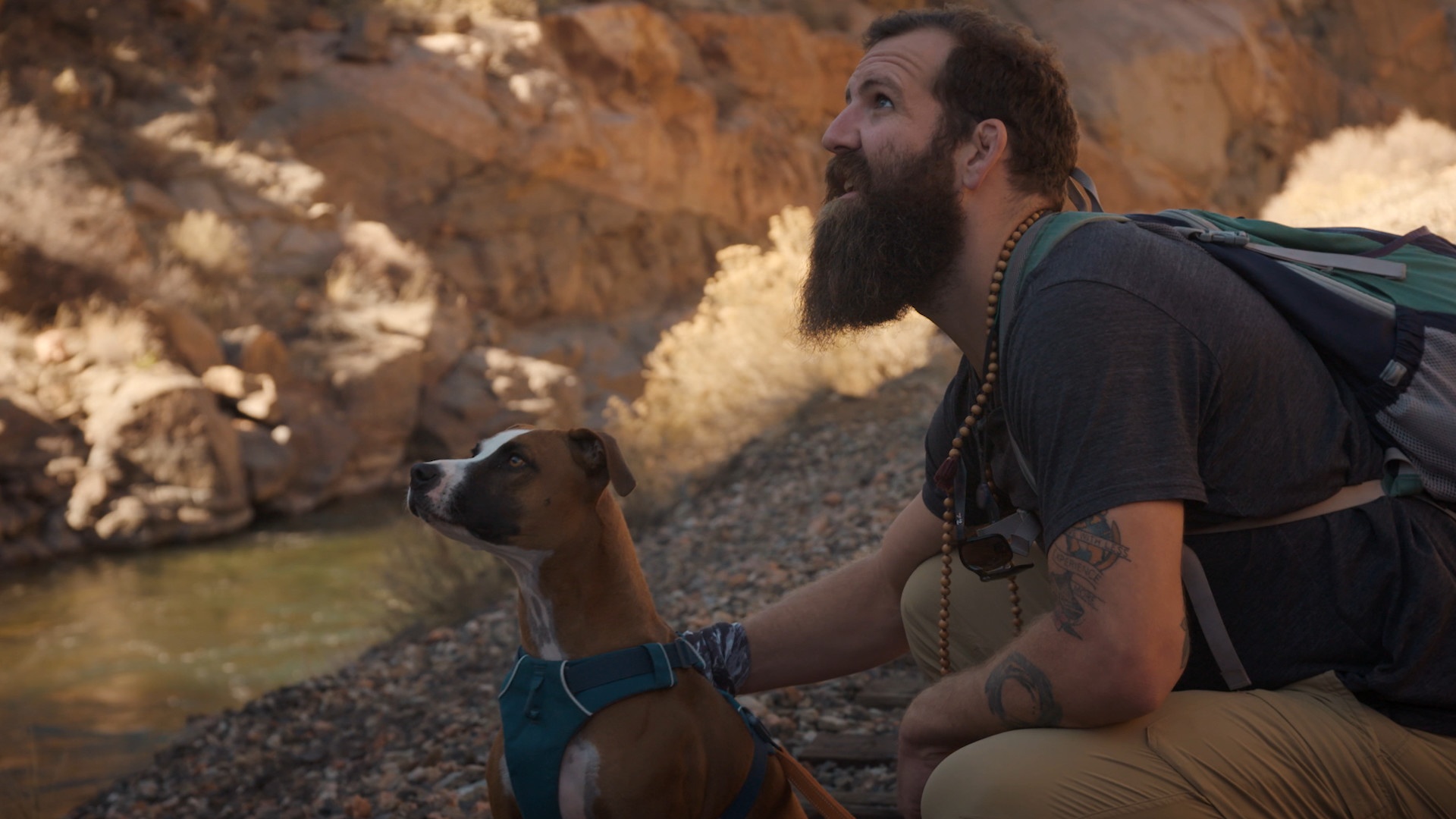 Une vie de chien - Toujours plus loin (1).JPG